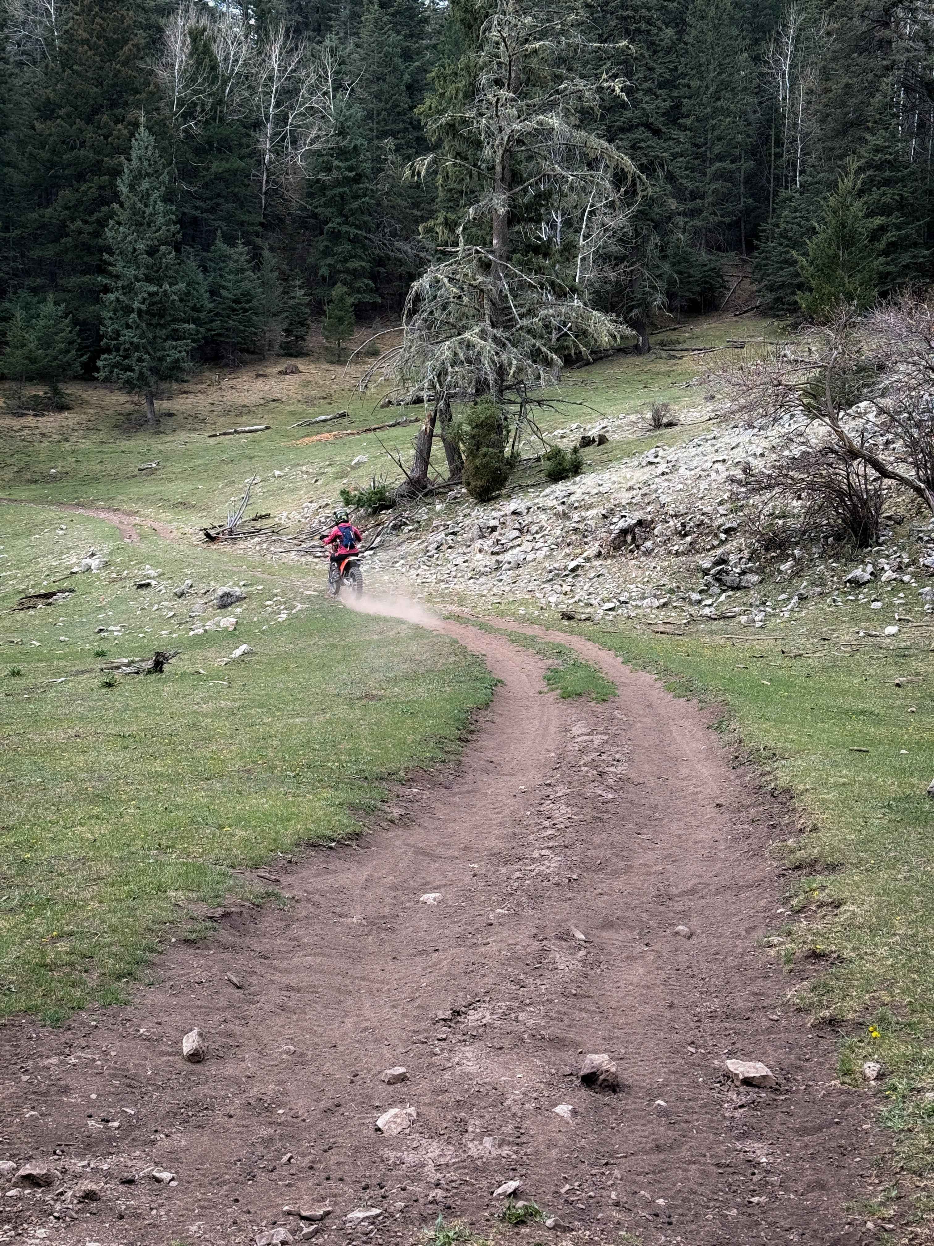 Benson Canyon Spur - FS 5005A