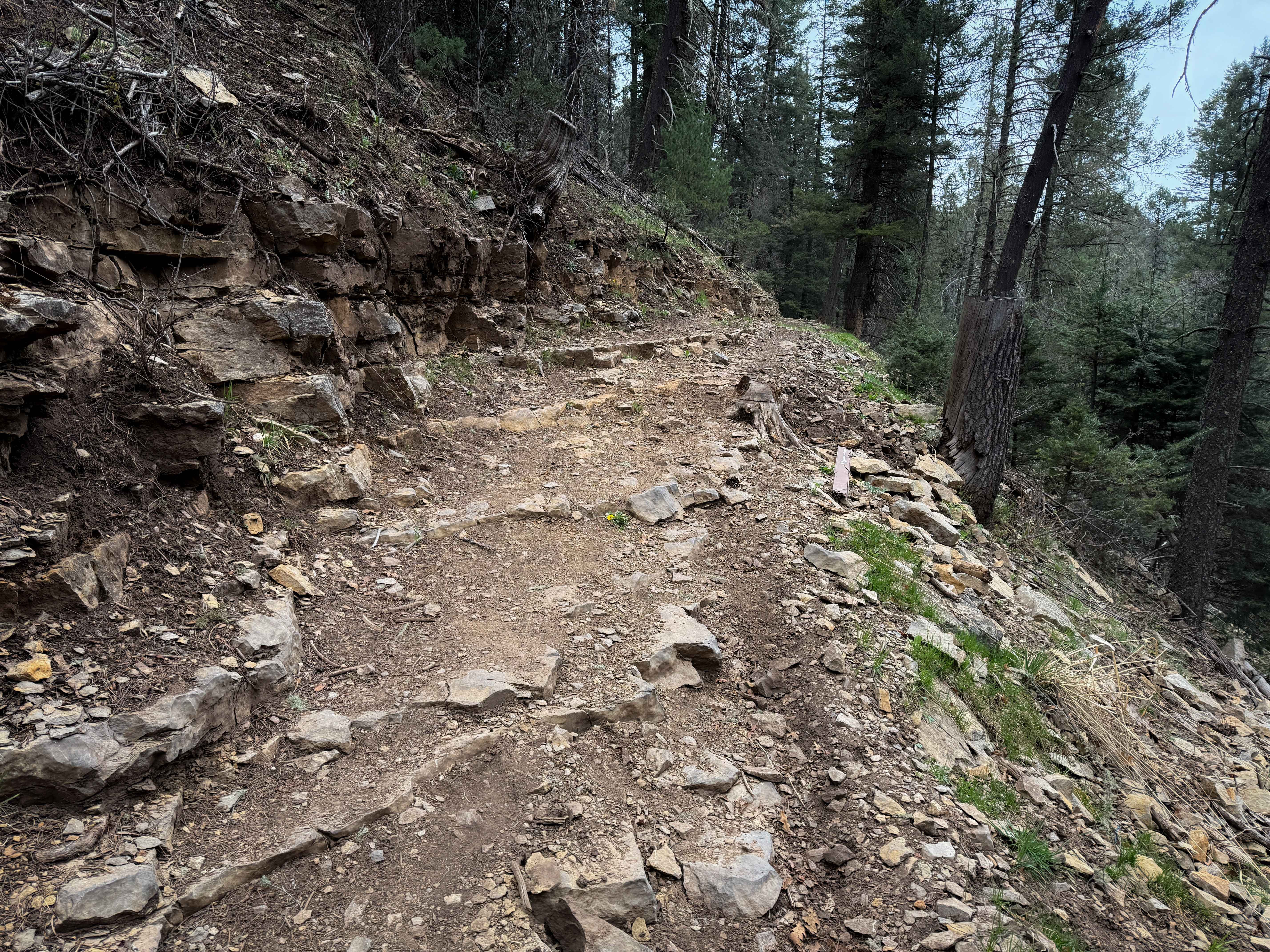 Willie White - FS 113