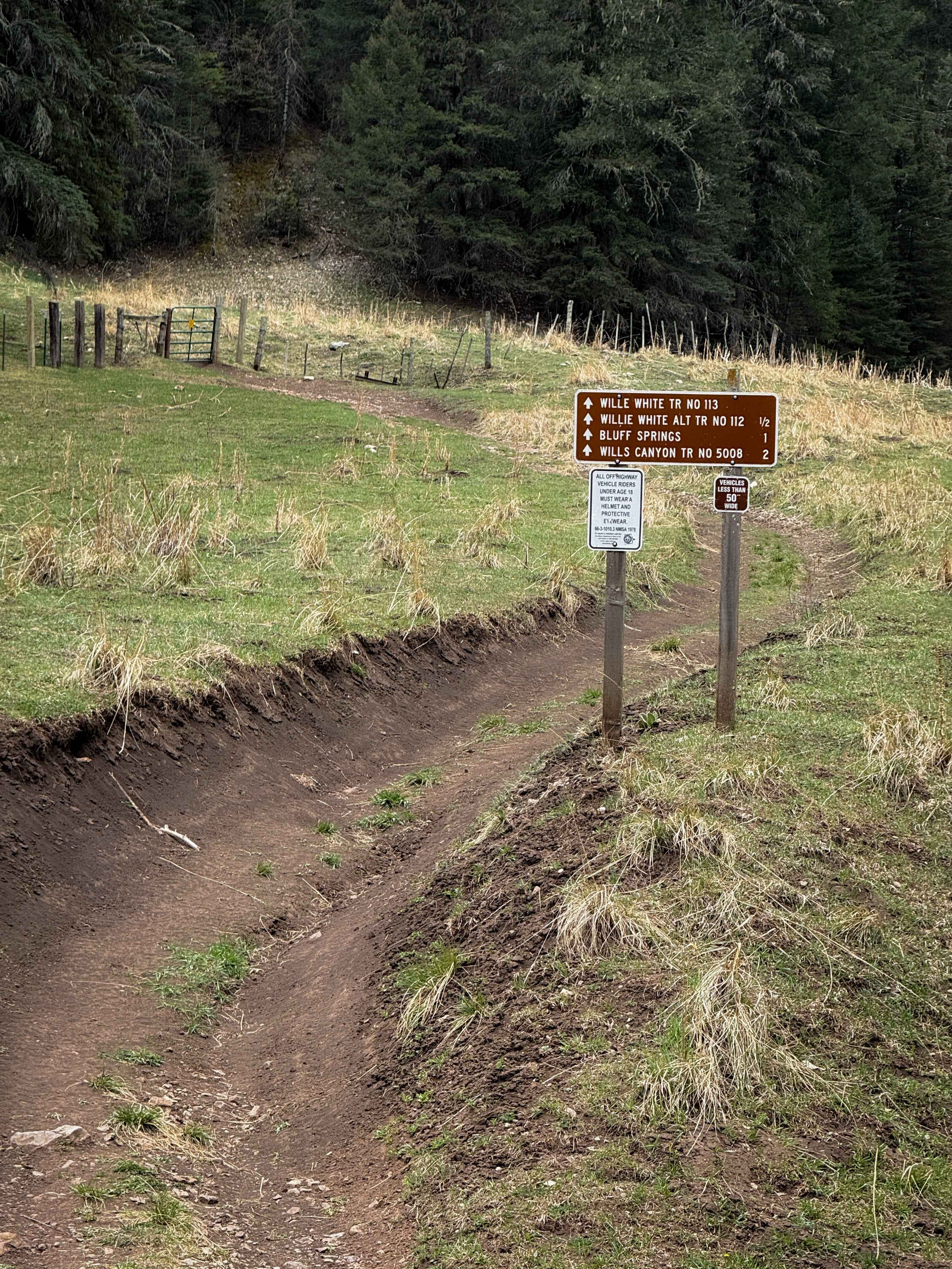 Willie White - FS 113