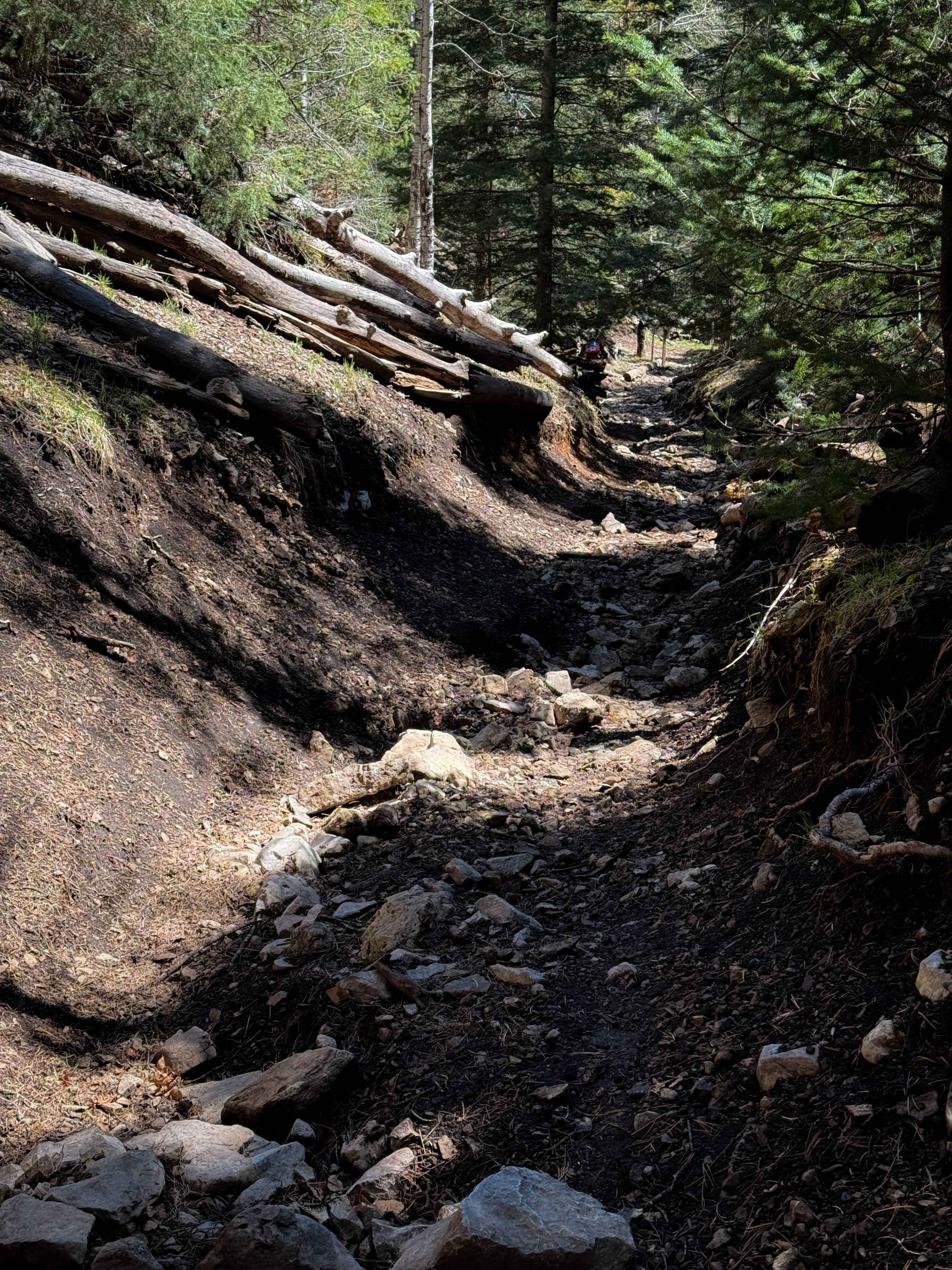 Wills Canyon - FS 5008