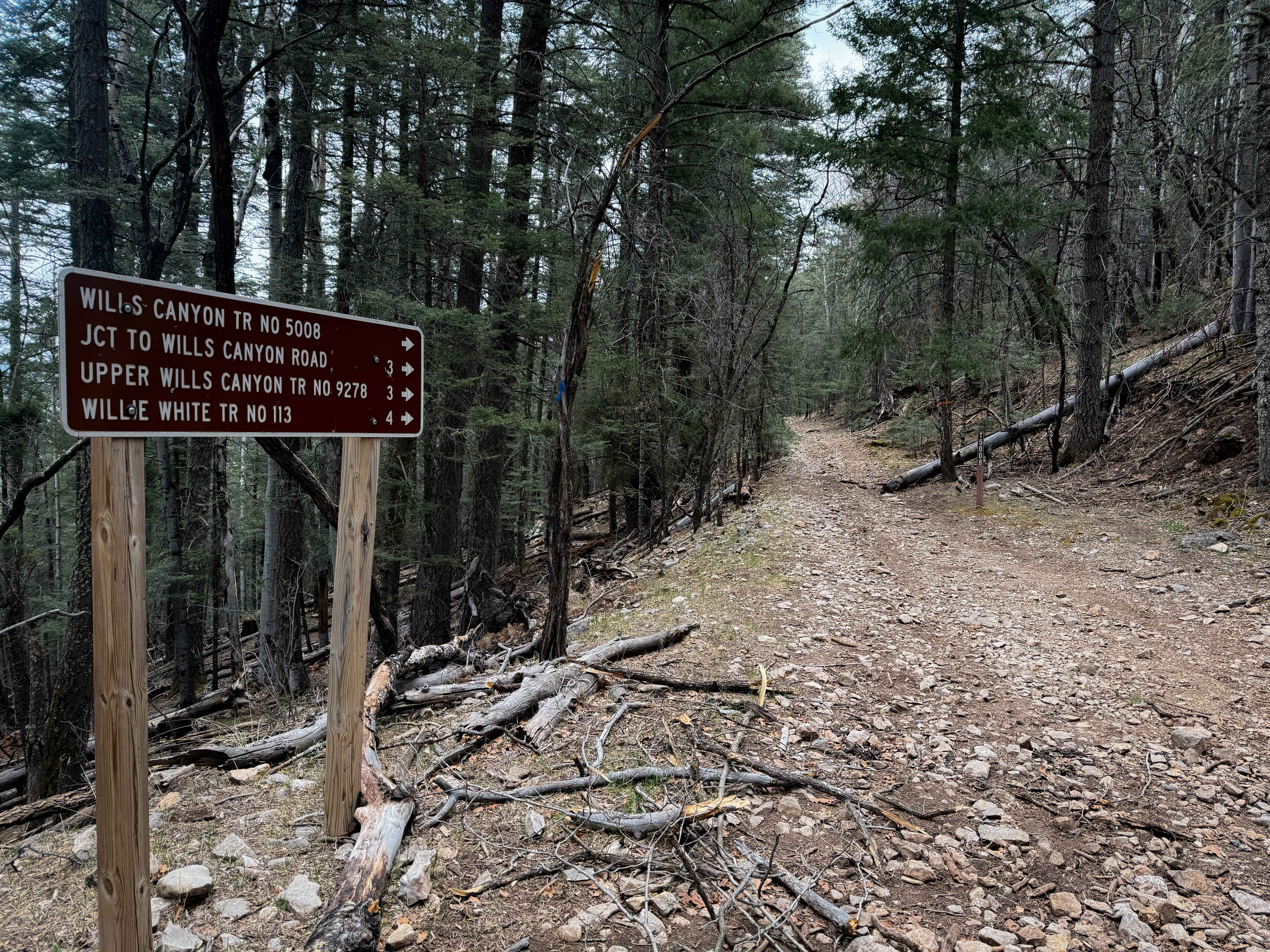 Wills Canyon - FS 5008