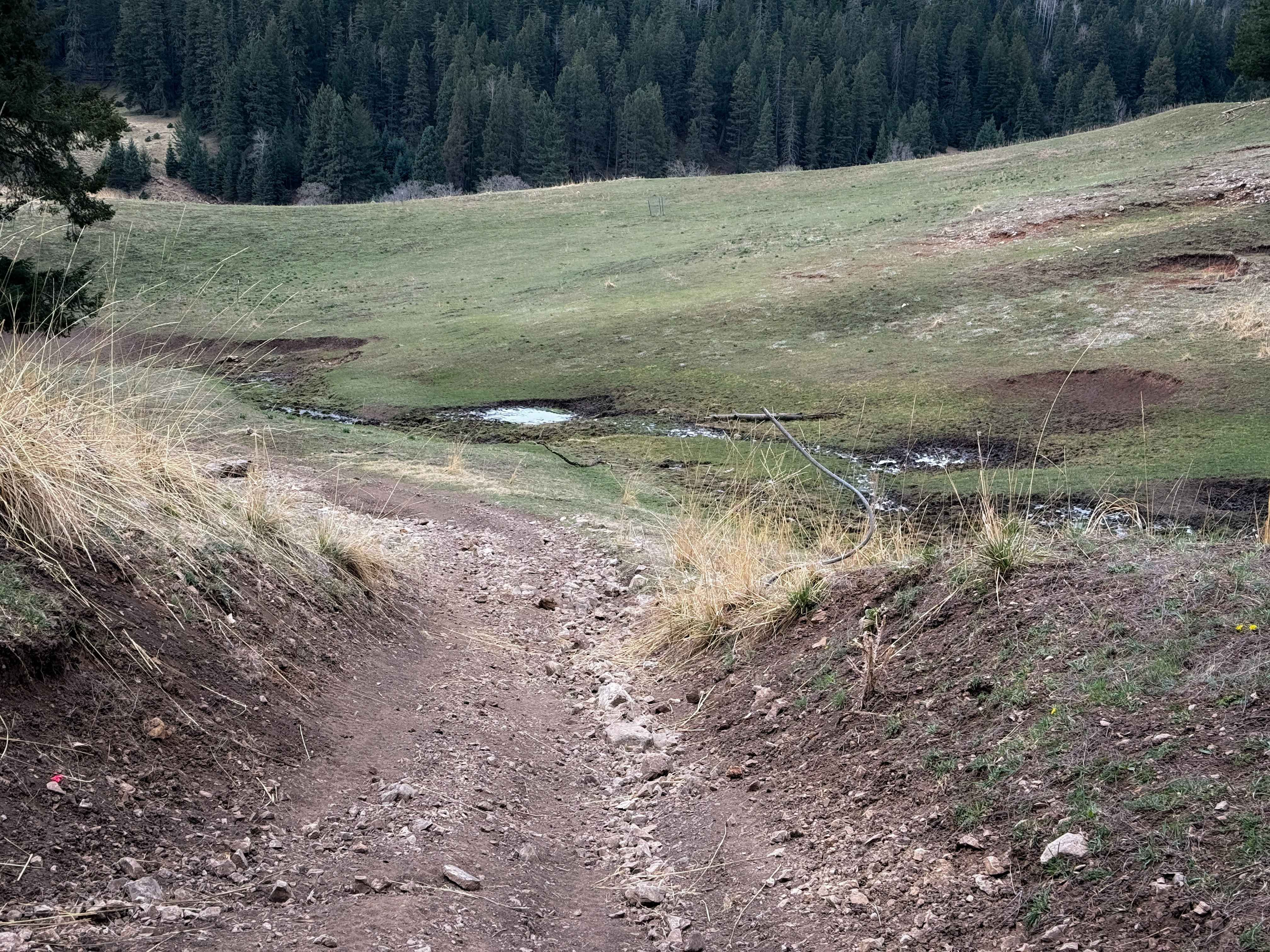 Upper Wills Canyon - FS 9278