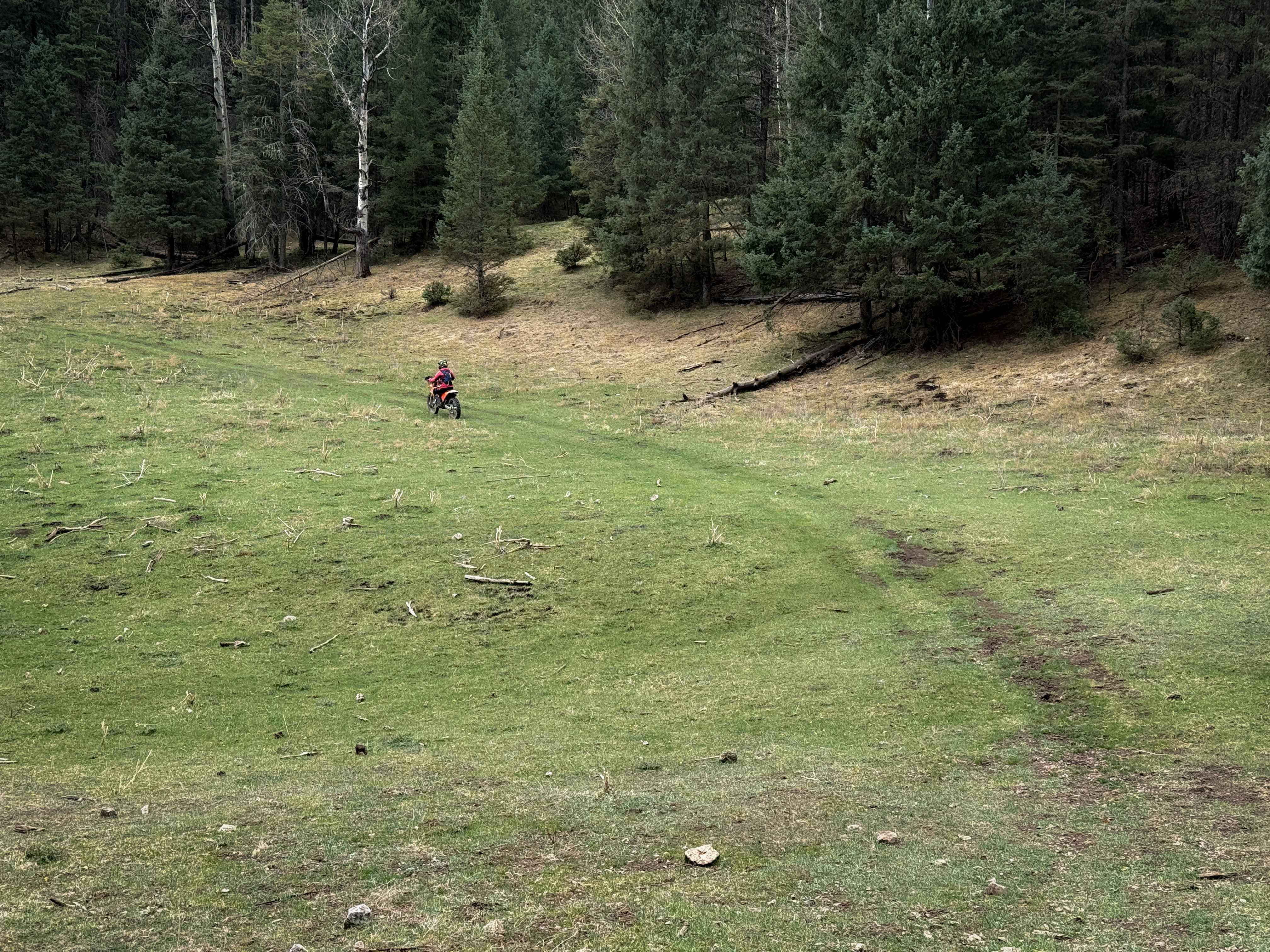 Hubbell Canyon- FS 9277