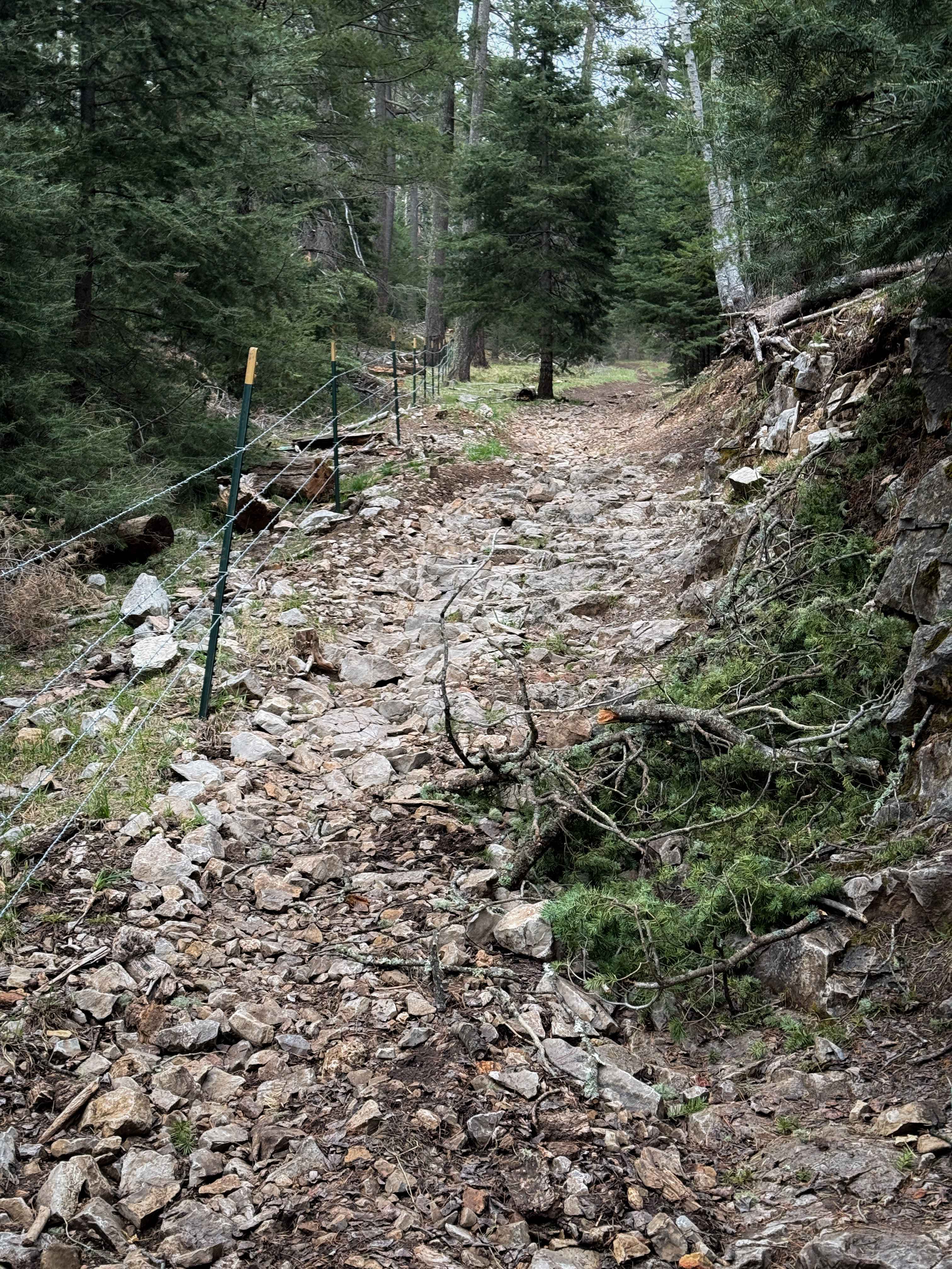 1000 Mile Canyon - FS 9216