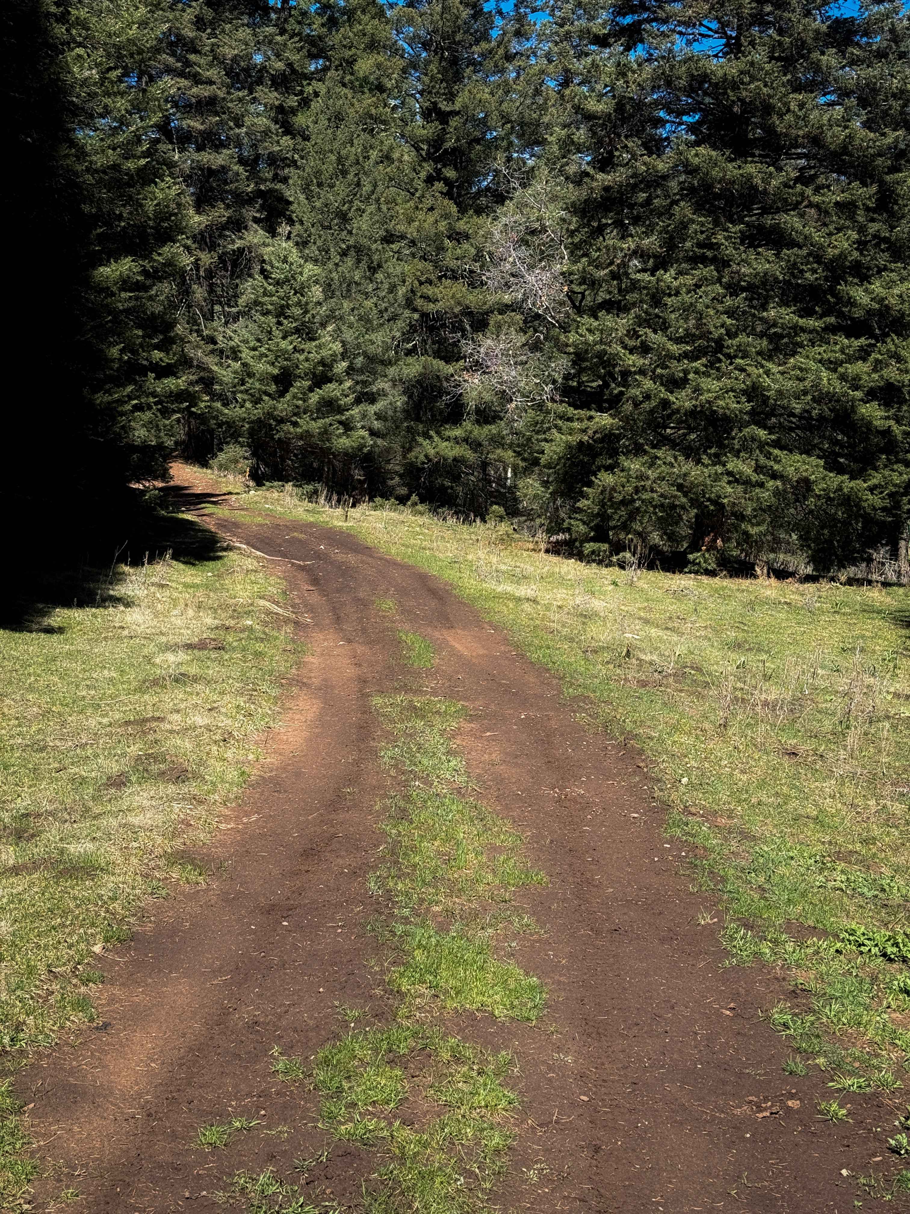 Benson Canyon Spur - FS 5005B