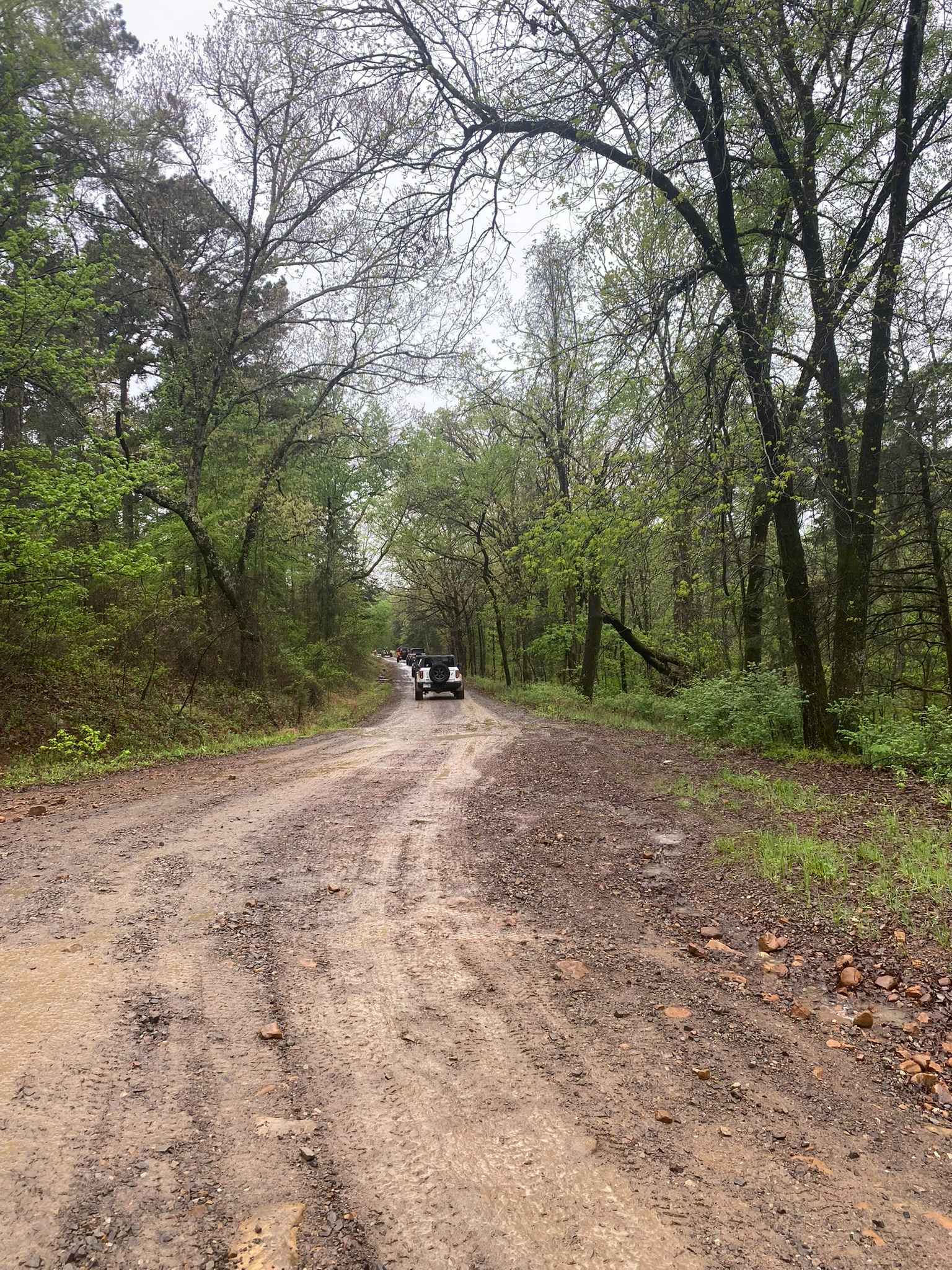 Shoal Creek  - FS 1604