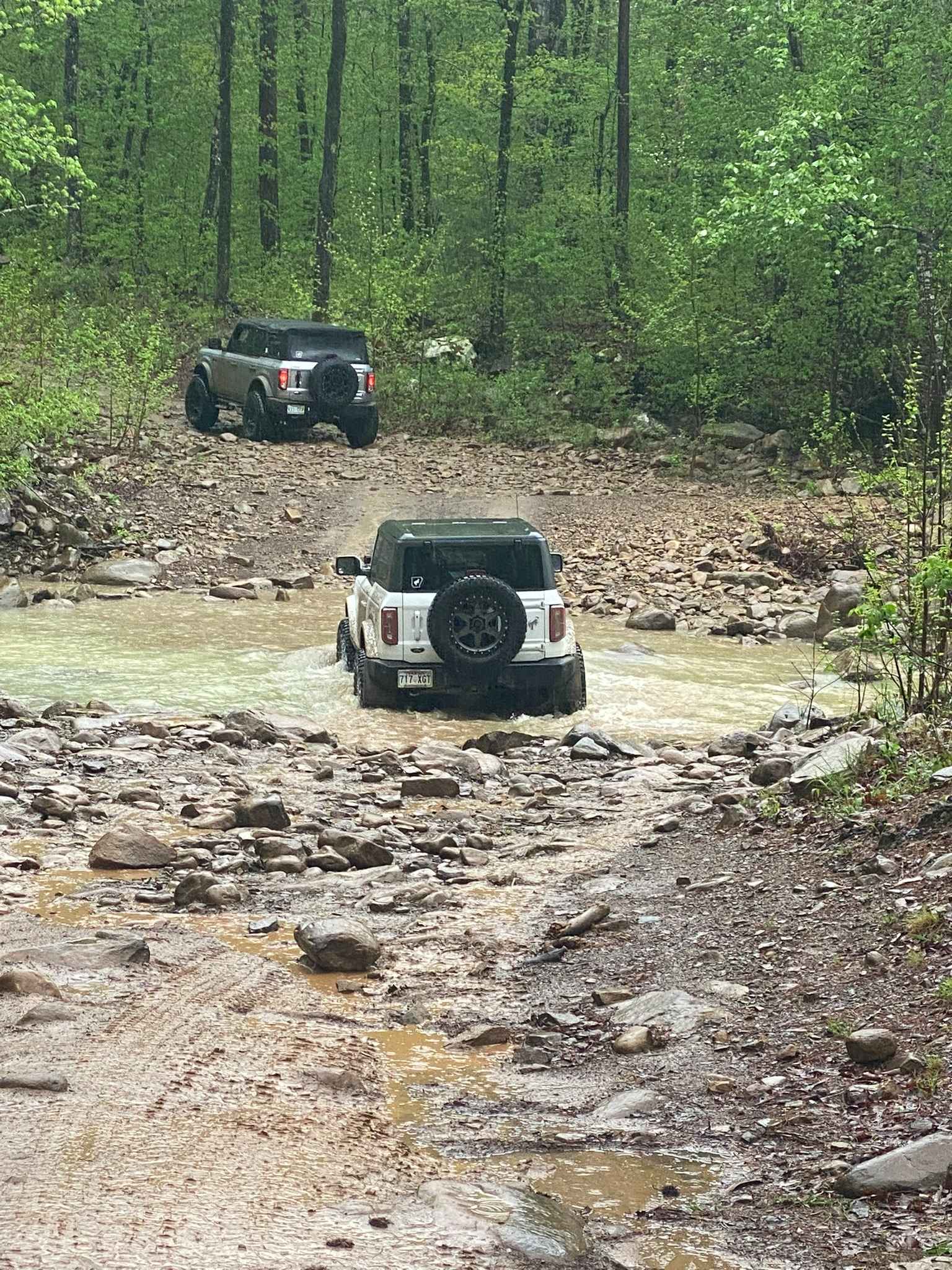 Huckleberry Mountain Orange - FS 2612