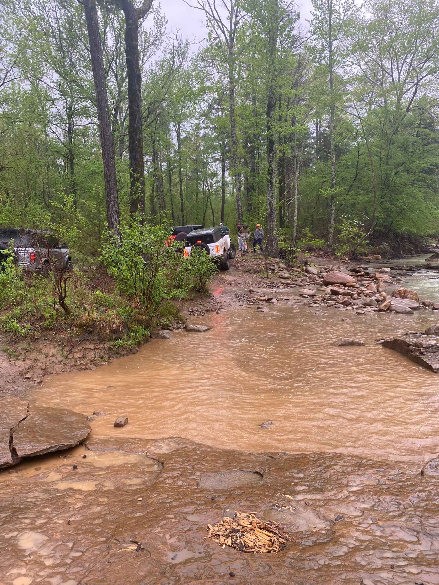 Huckleberry Mountain Orange - FS 2612