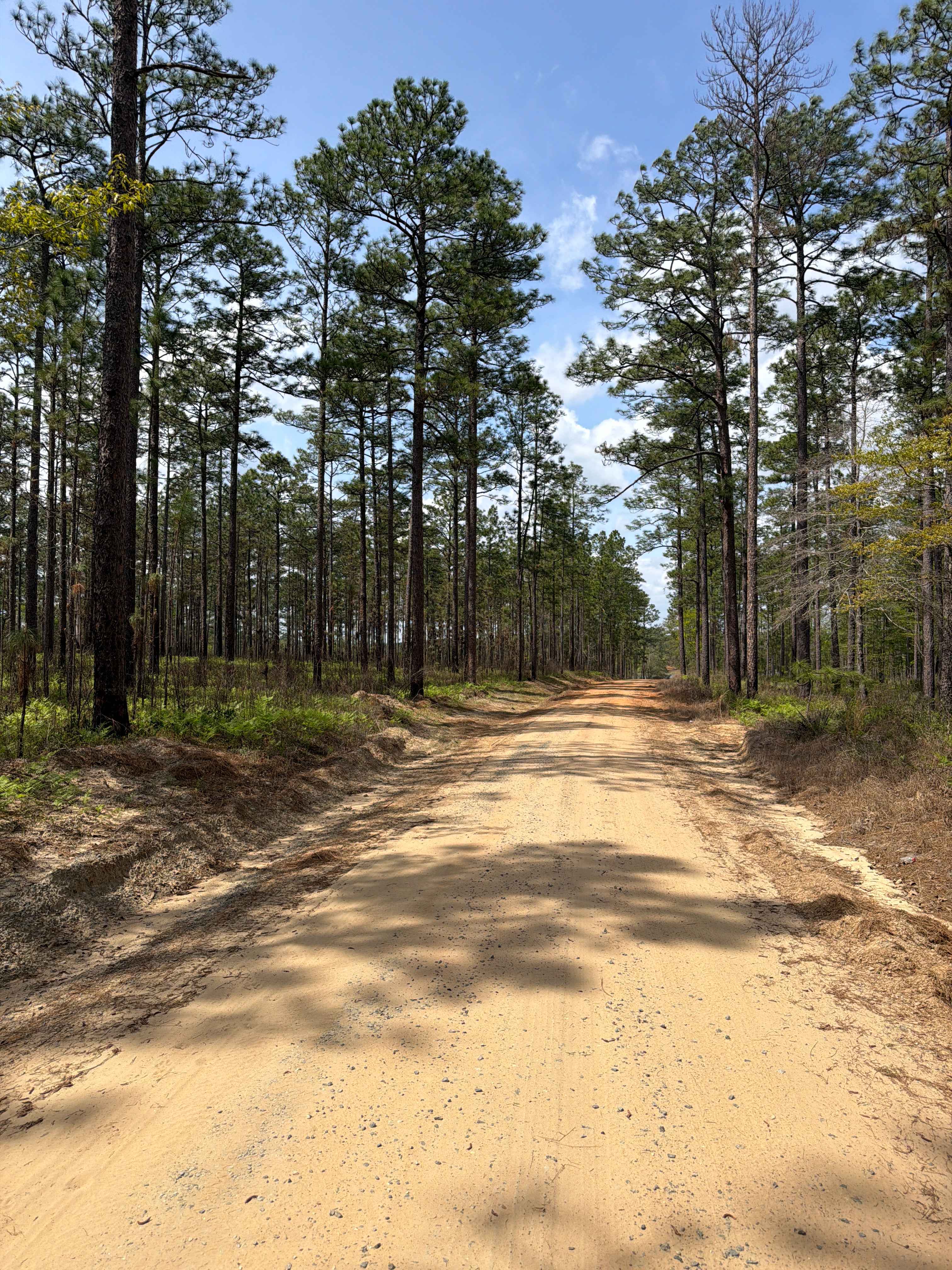 Hurricane Lake South R 30