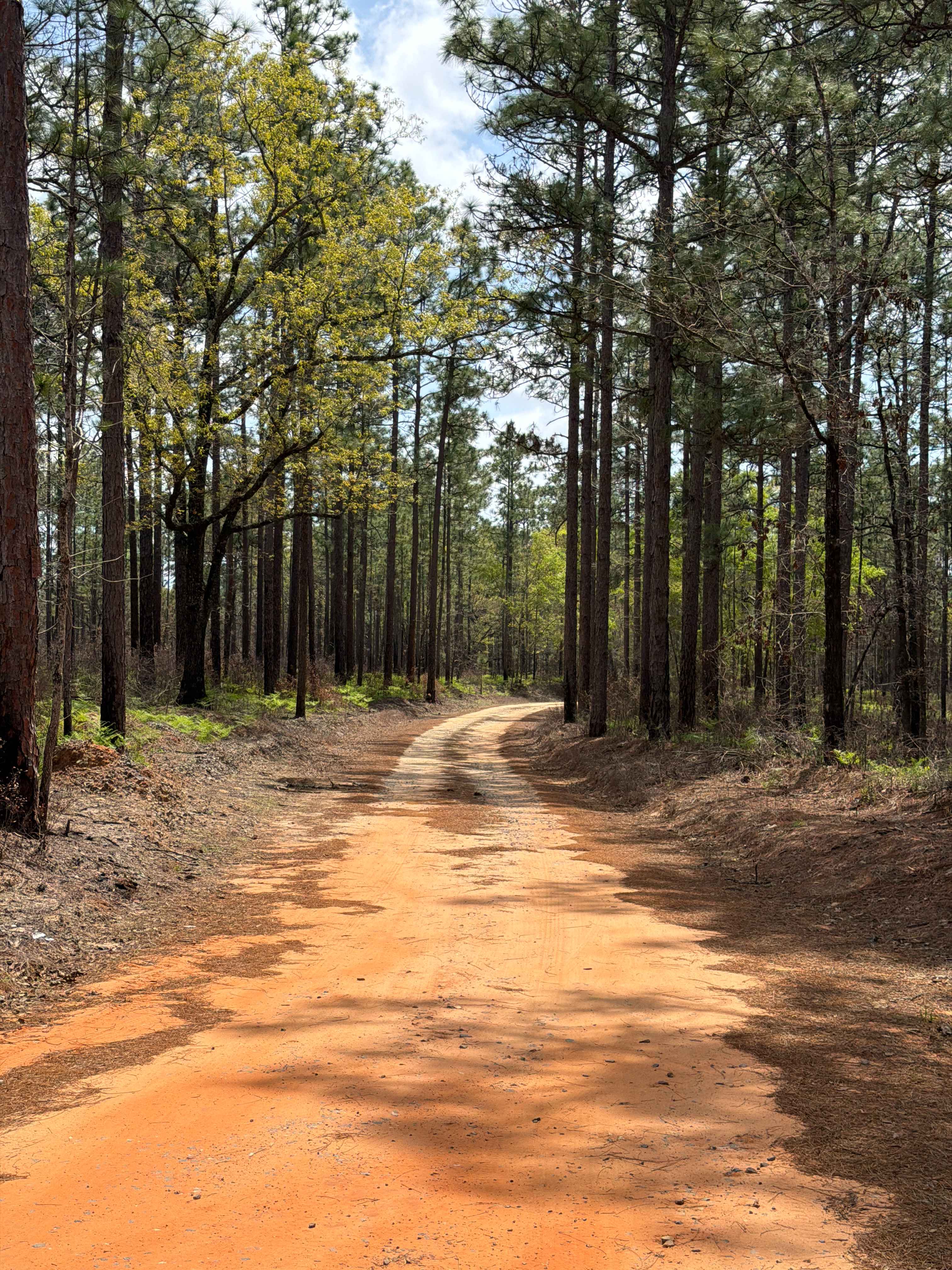 Hurricane Lake North R 171