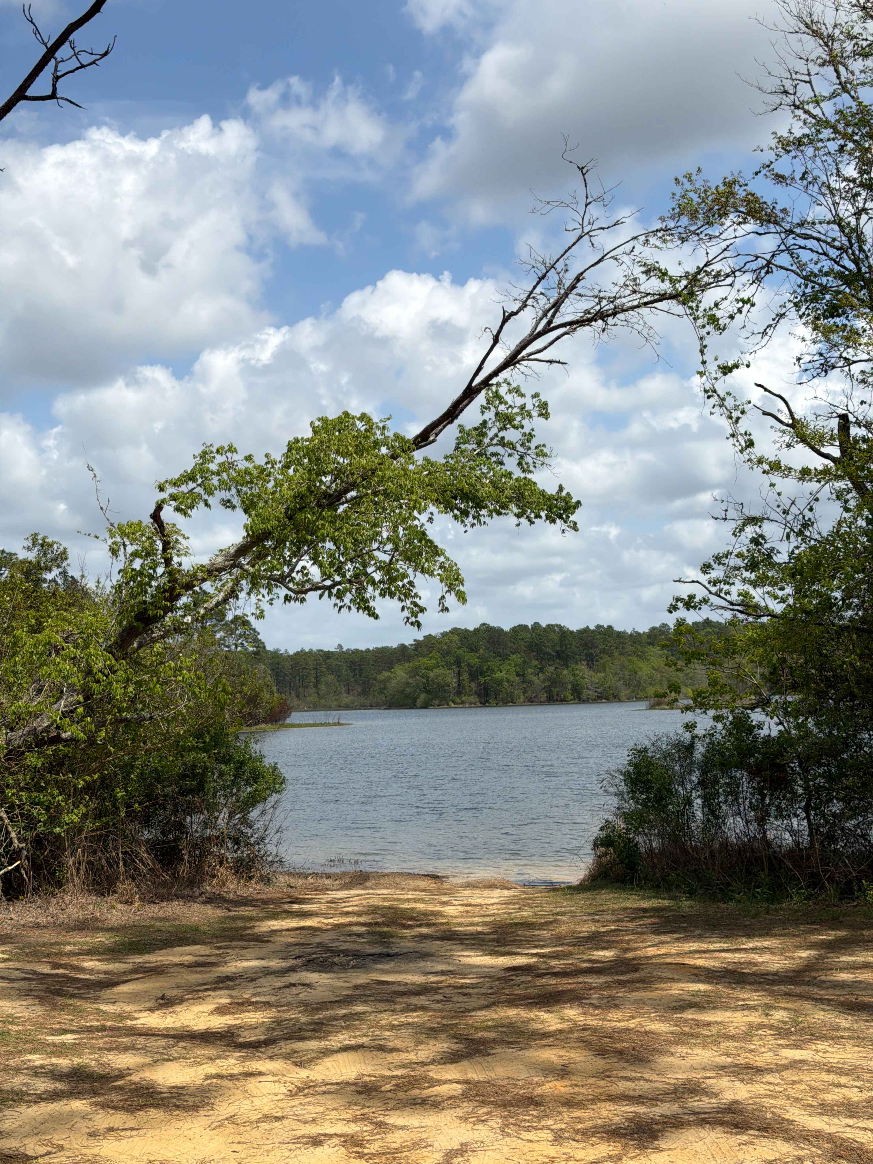 Hurricane Lake North R 171