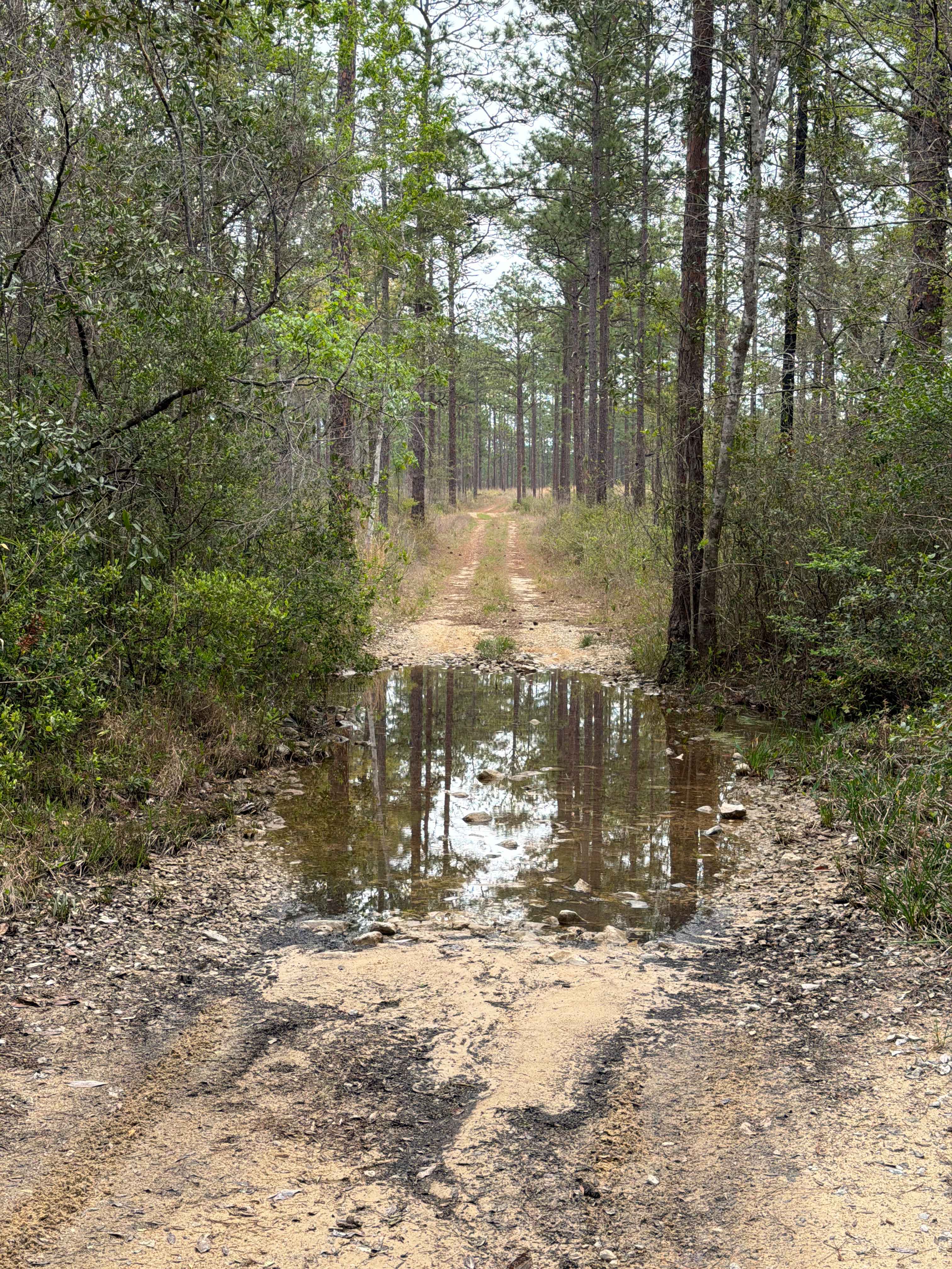 Jeff Capp Road - C133