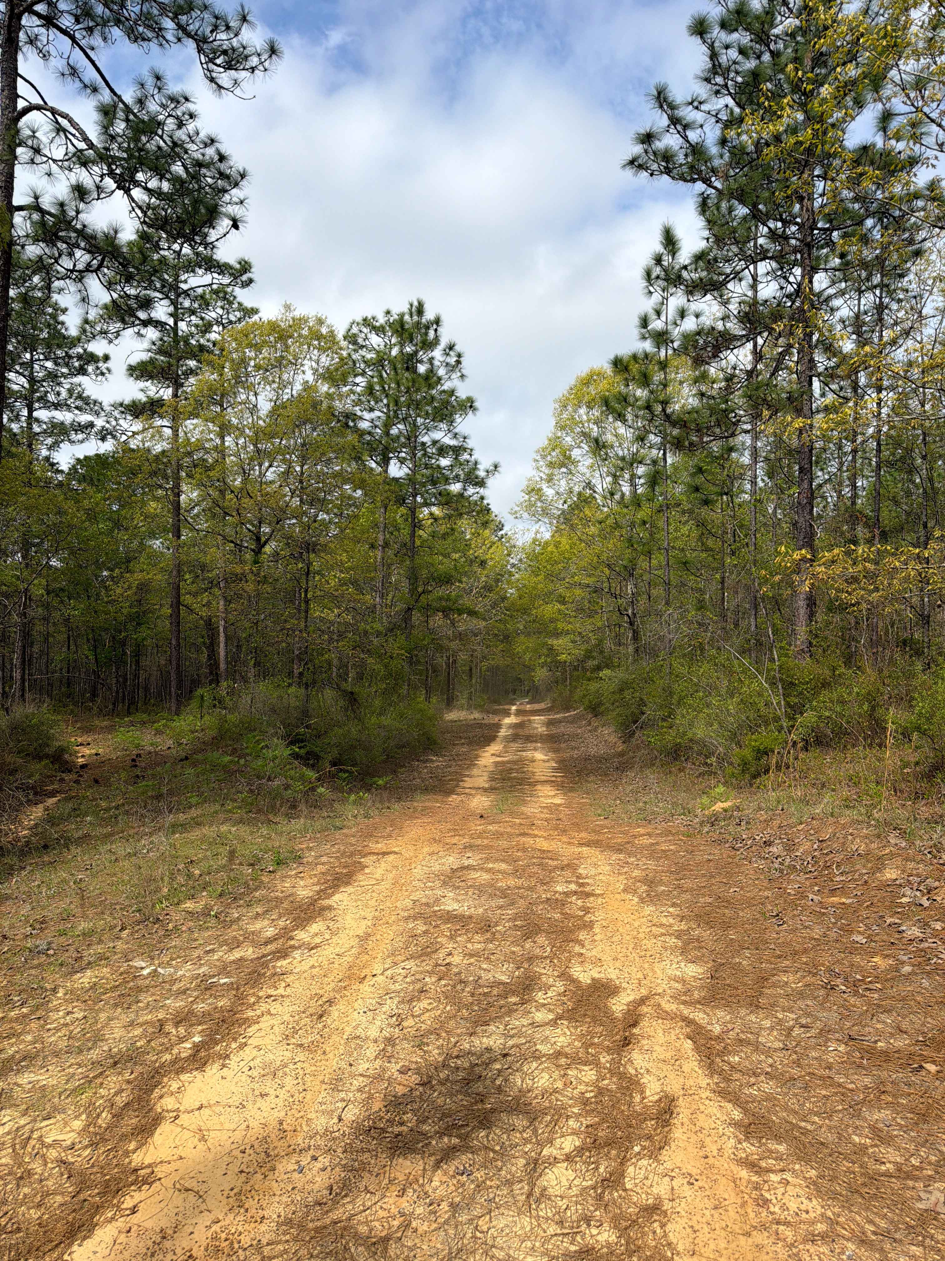 Jeff Capp Road - C133