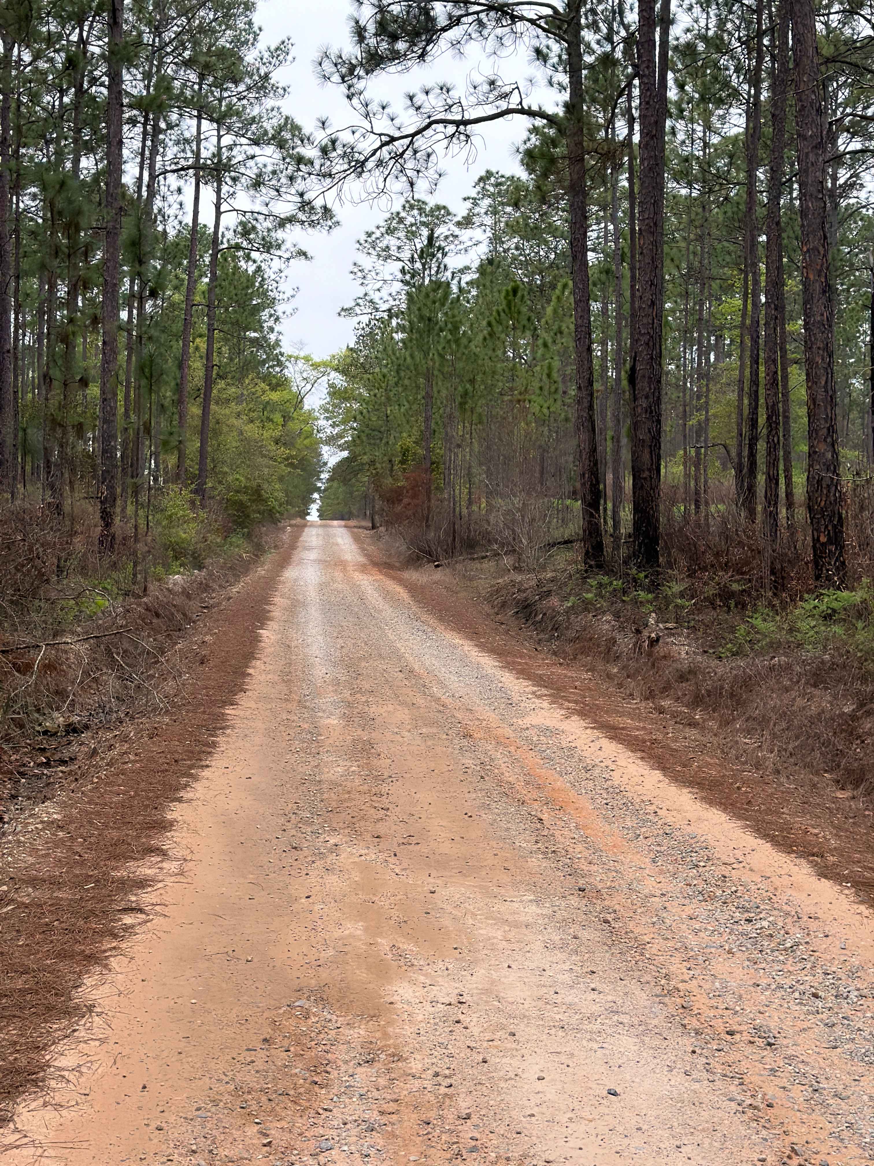 Coldwater Horse Trail