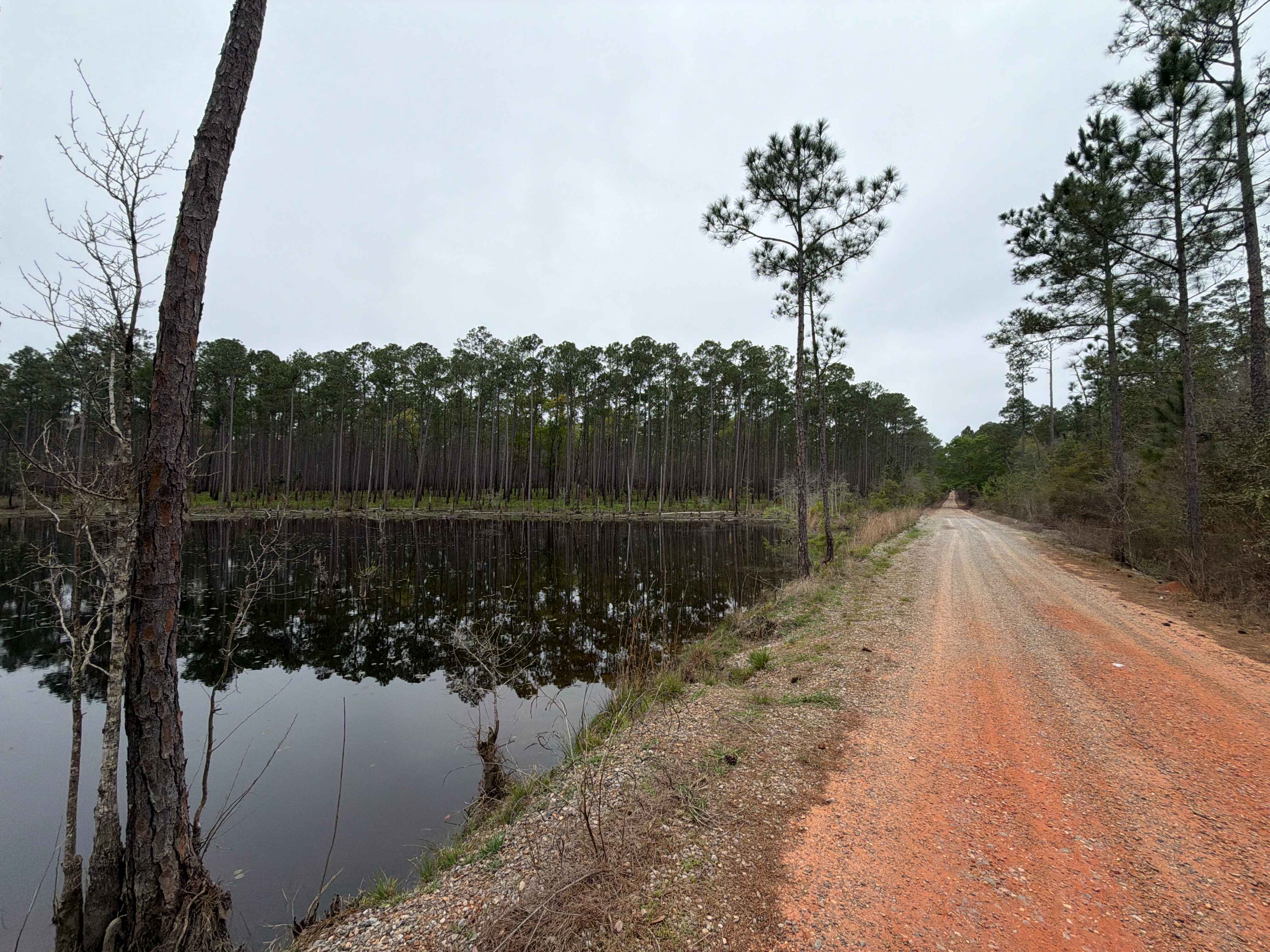 Coldwater Horse Trail