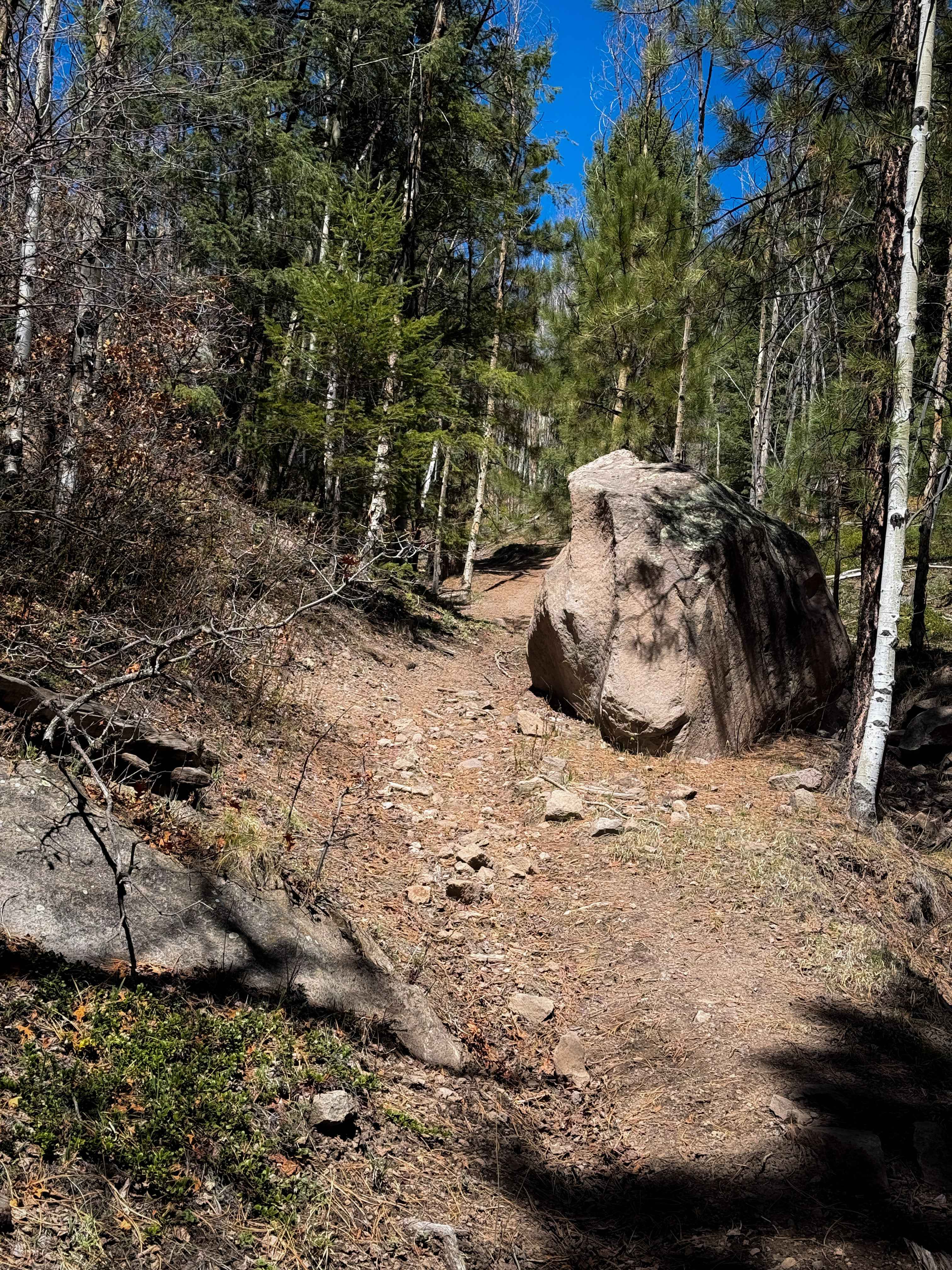 Lake Fork Mesa Loop - 505A