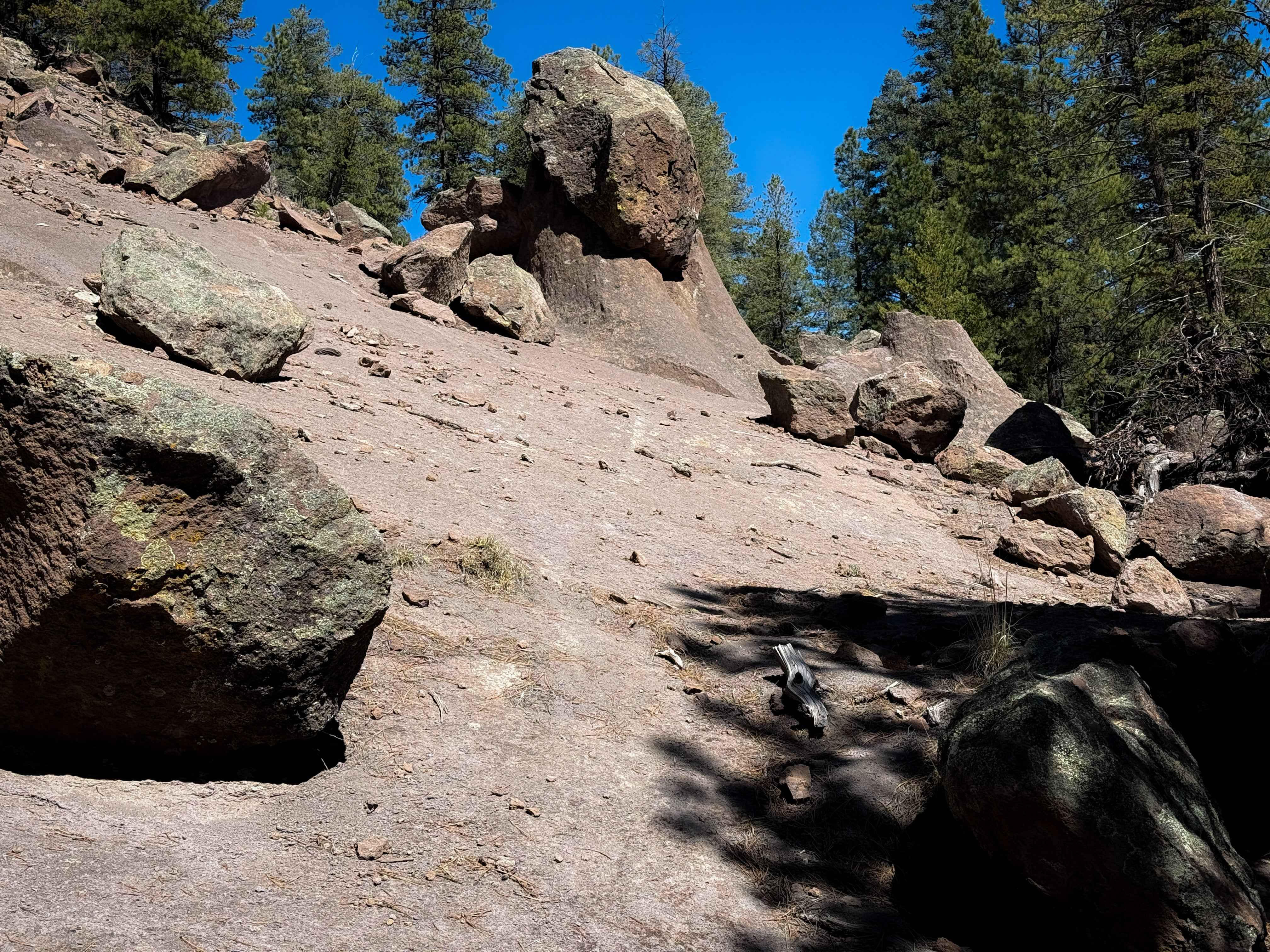 Lake Fork Mesa - 505