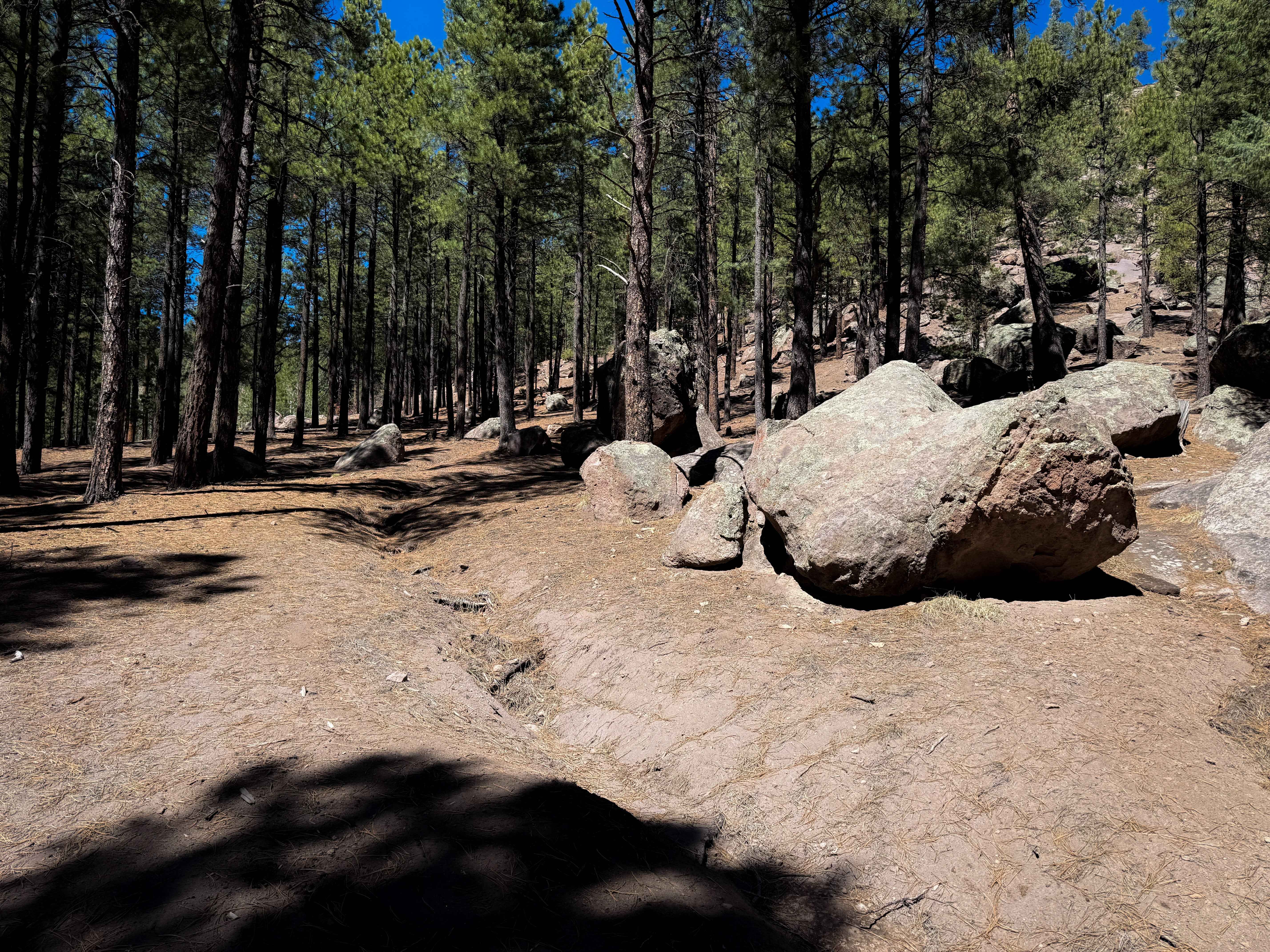 Lake Fork Mesa - 505