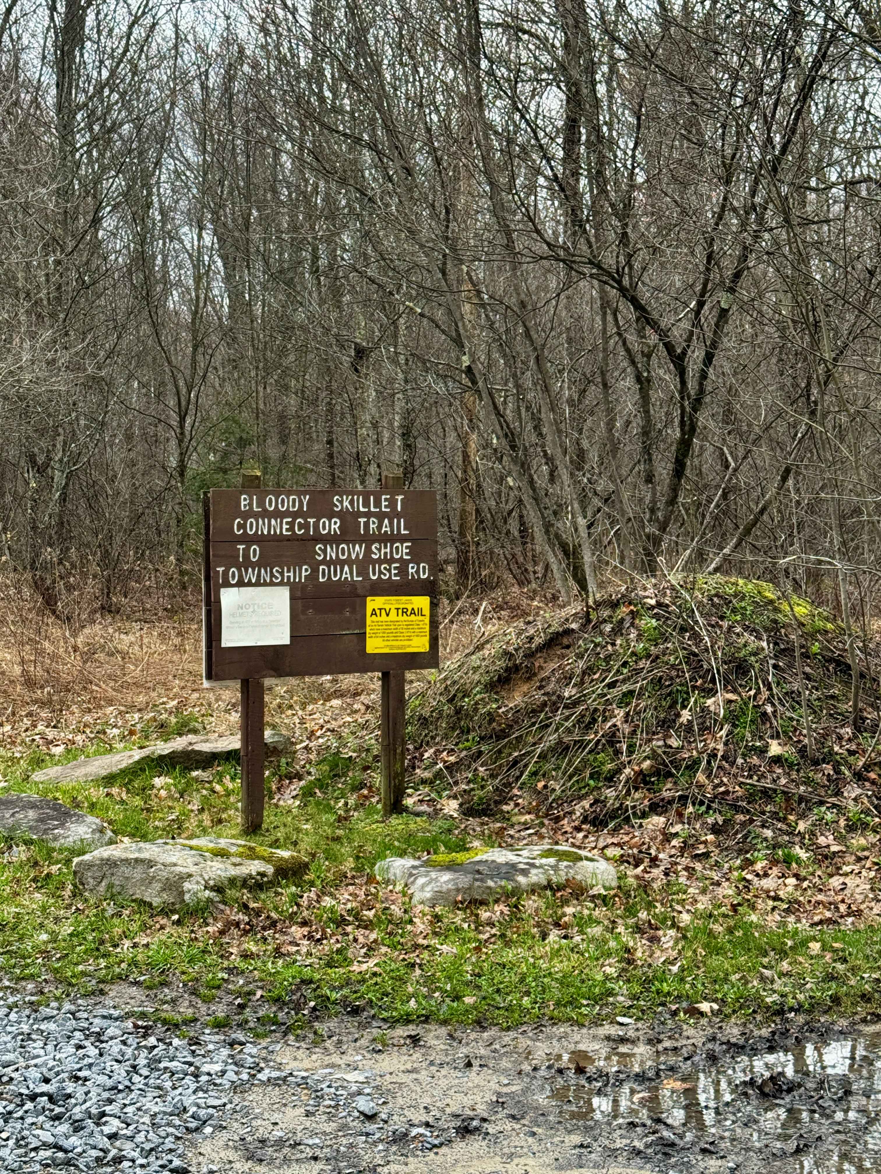 Bear Creek Forest Road