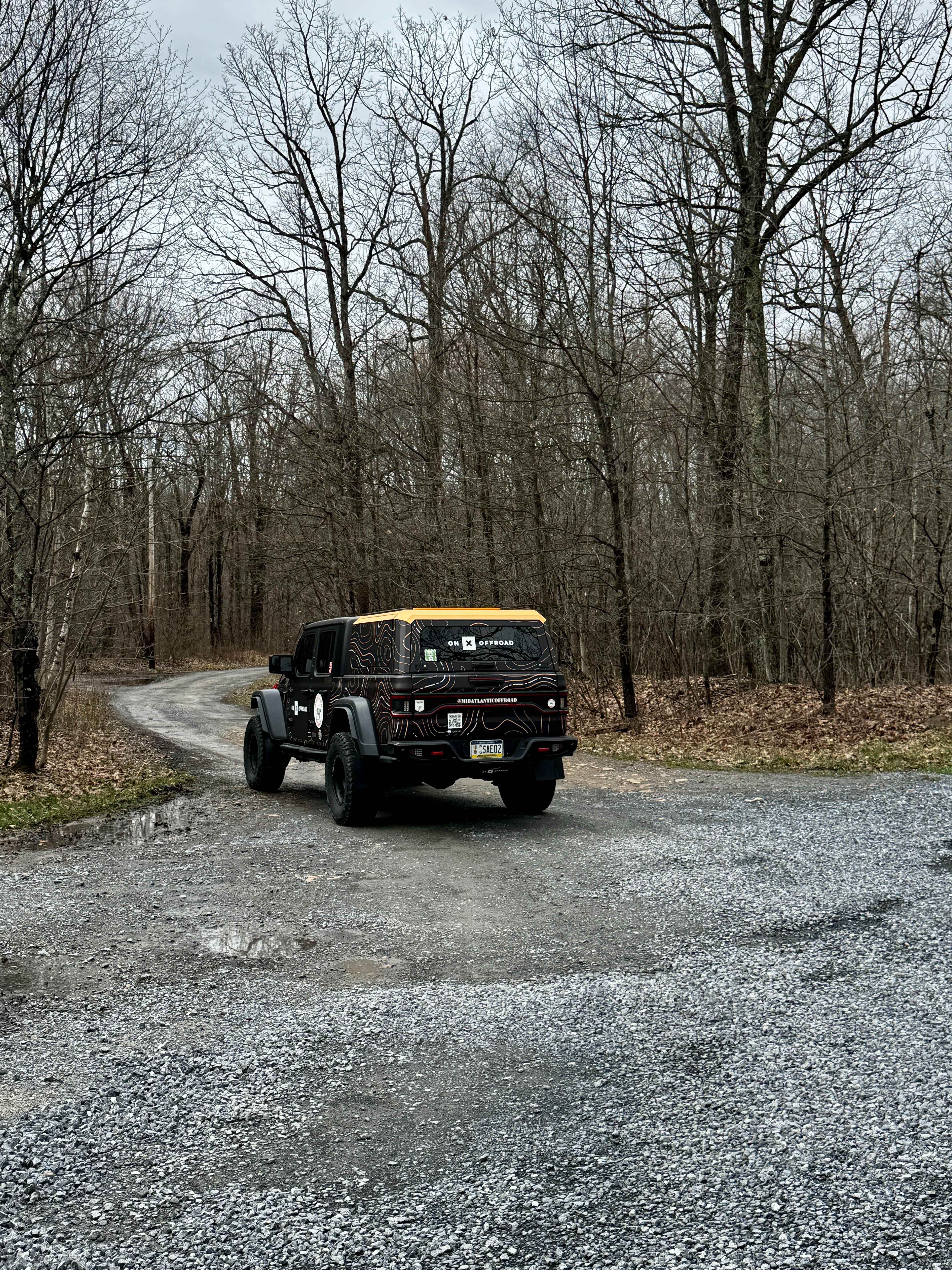 Bear Creek Forest Road