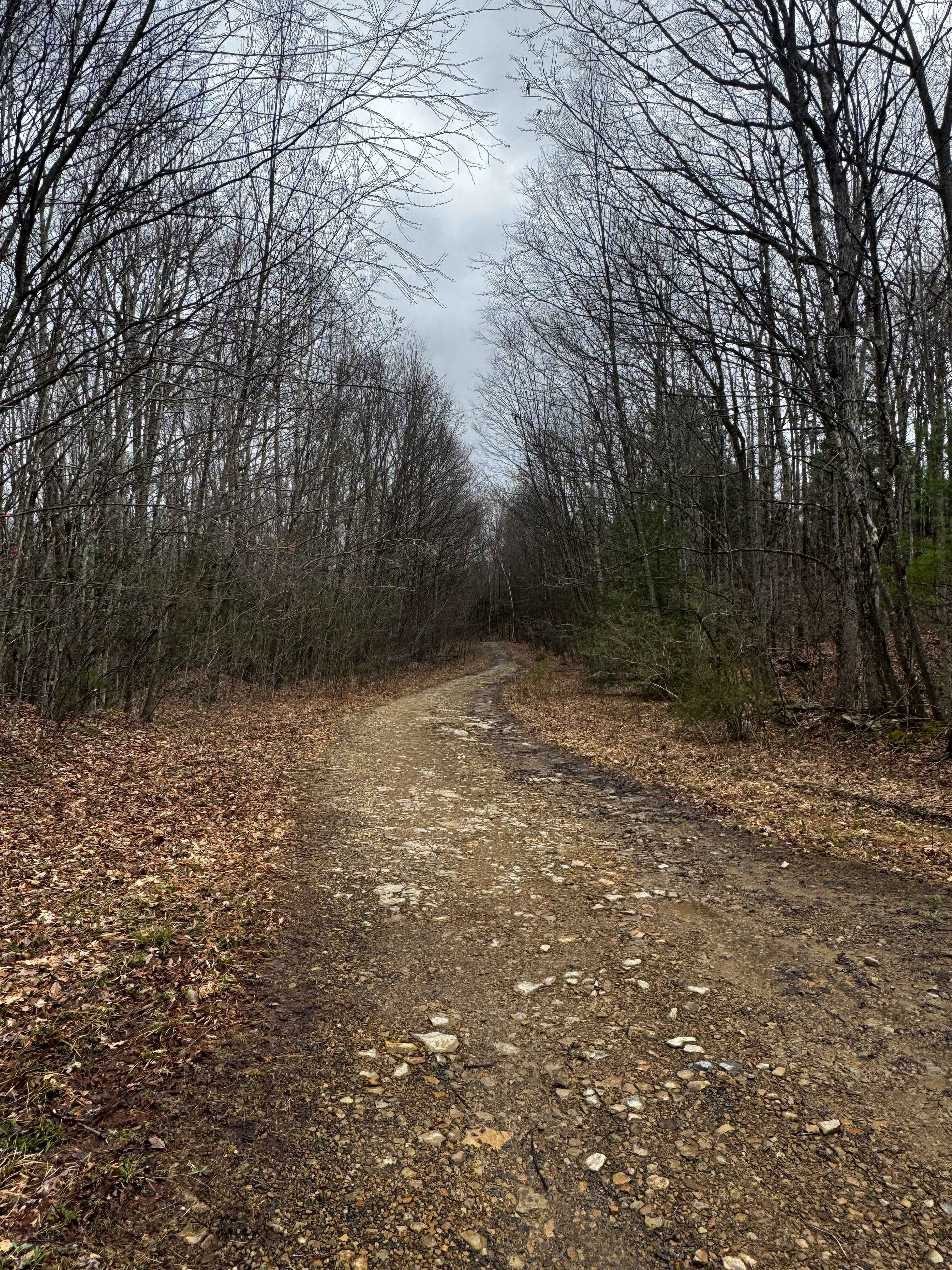 Hog Back Mountain Trail