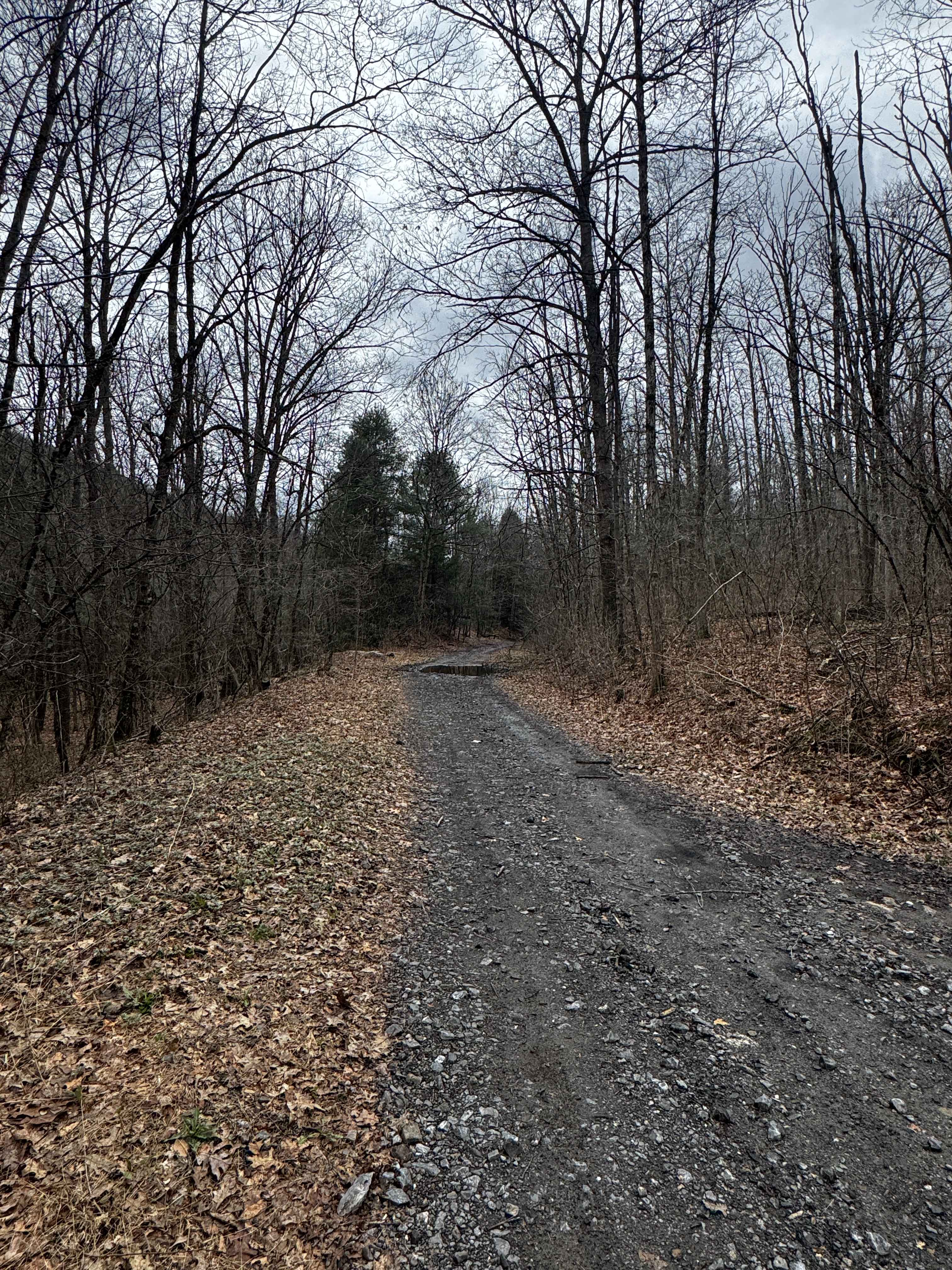 Hog Back Tunnel Trail