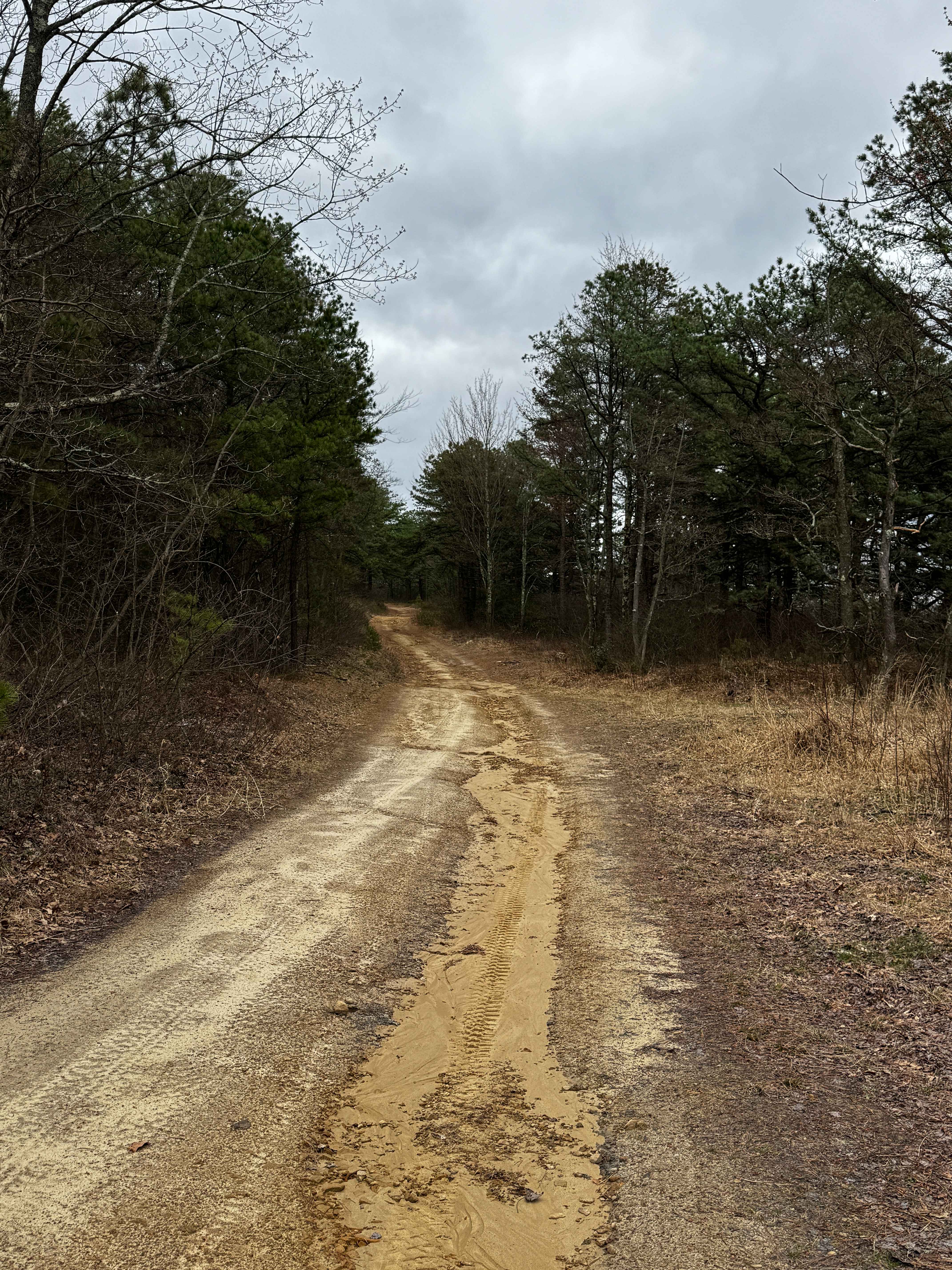 Slide Hollow Trail