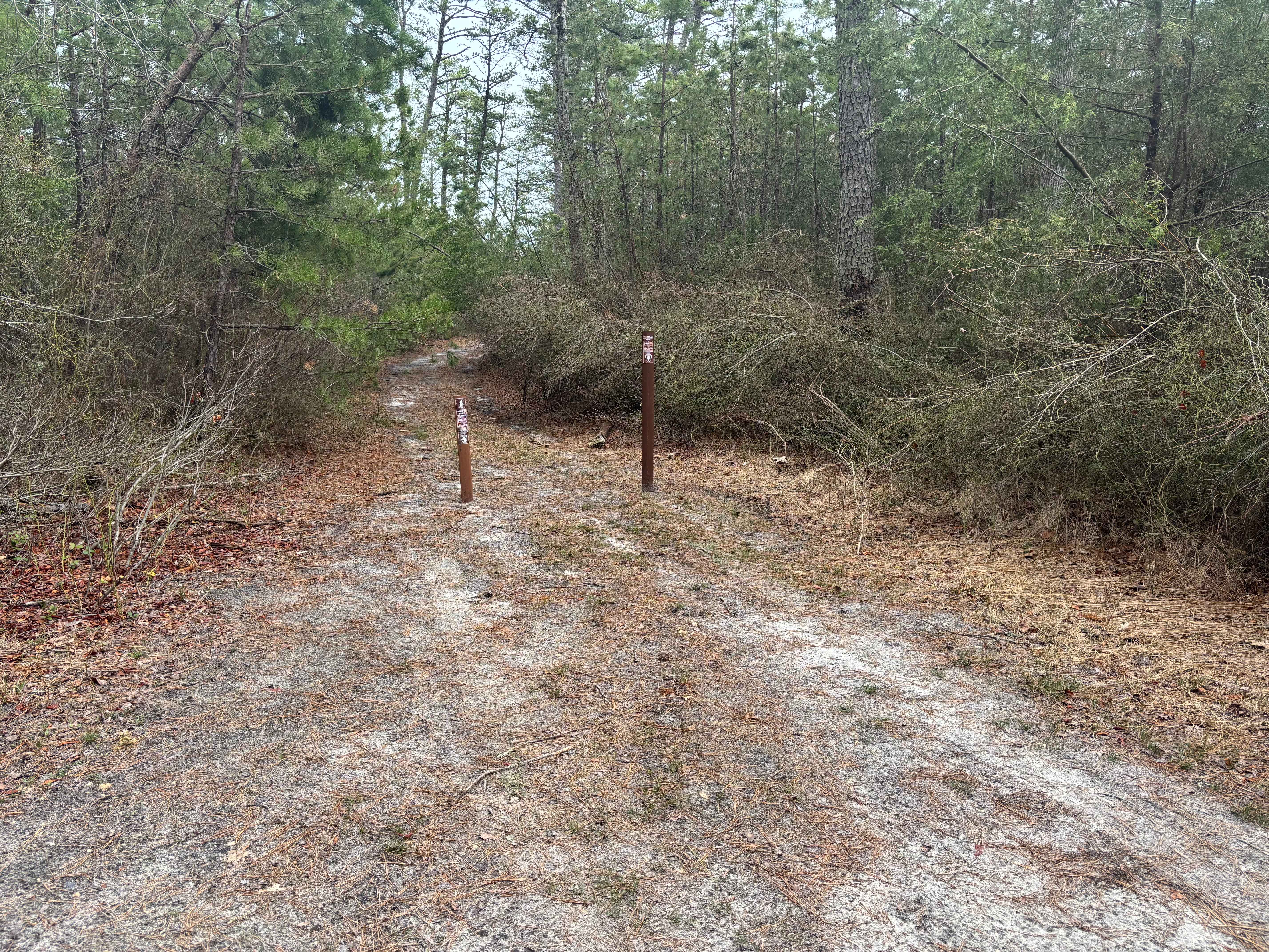 Dutch town to Burnt mill road