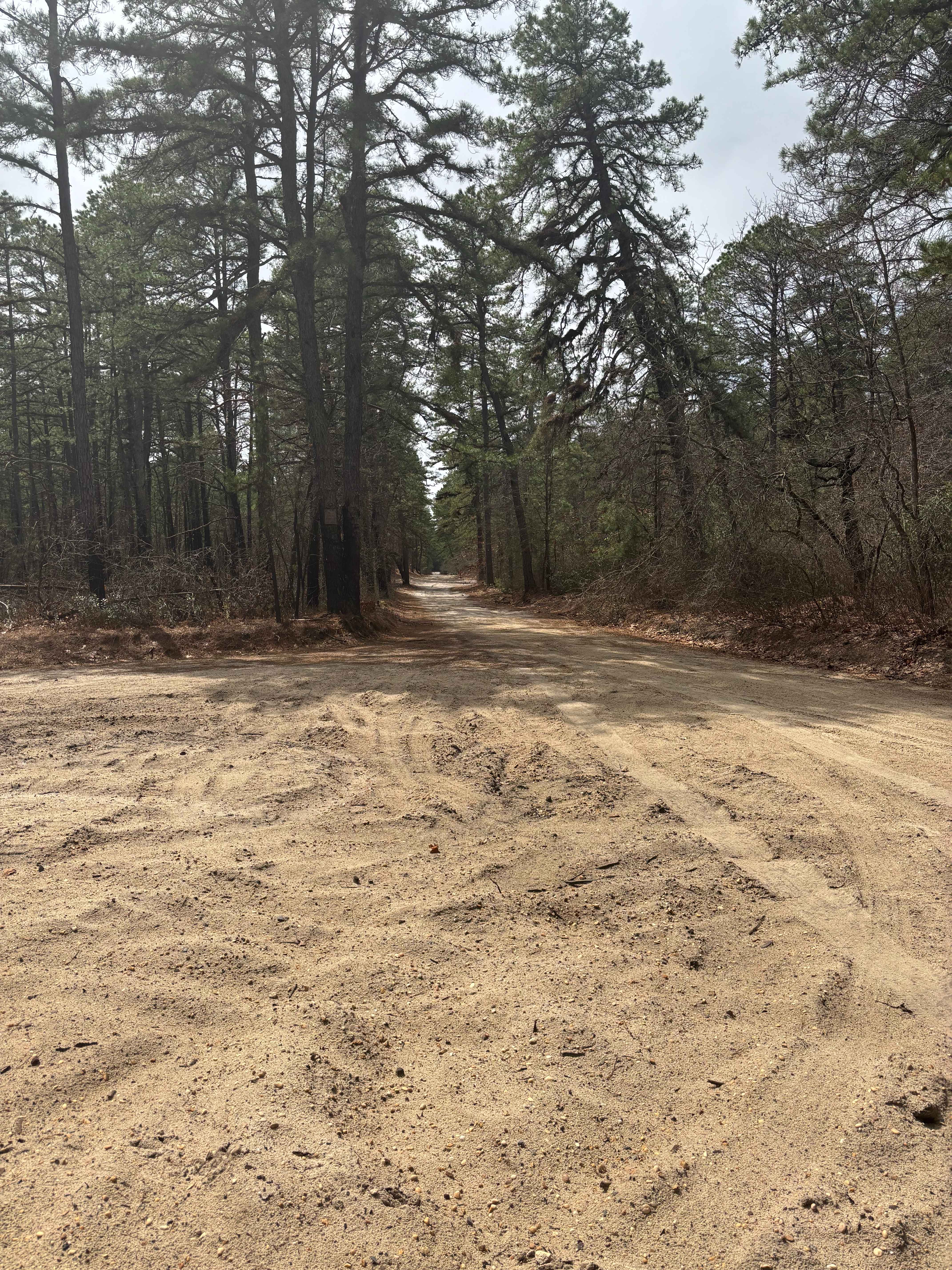 Dutch town to Burnt mill road