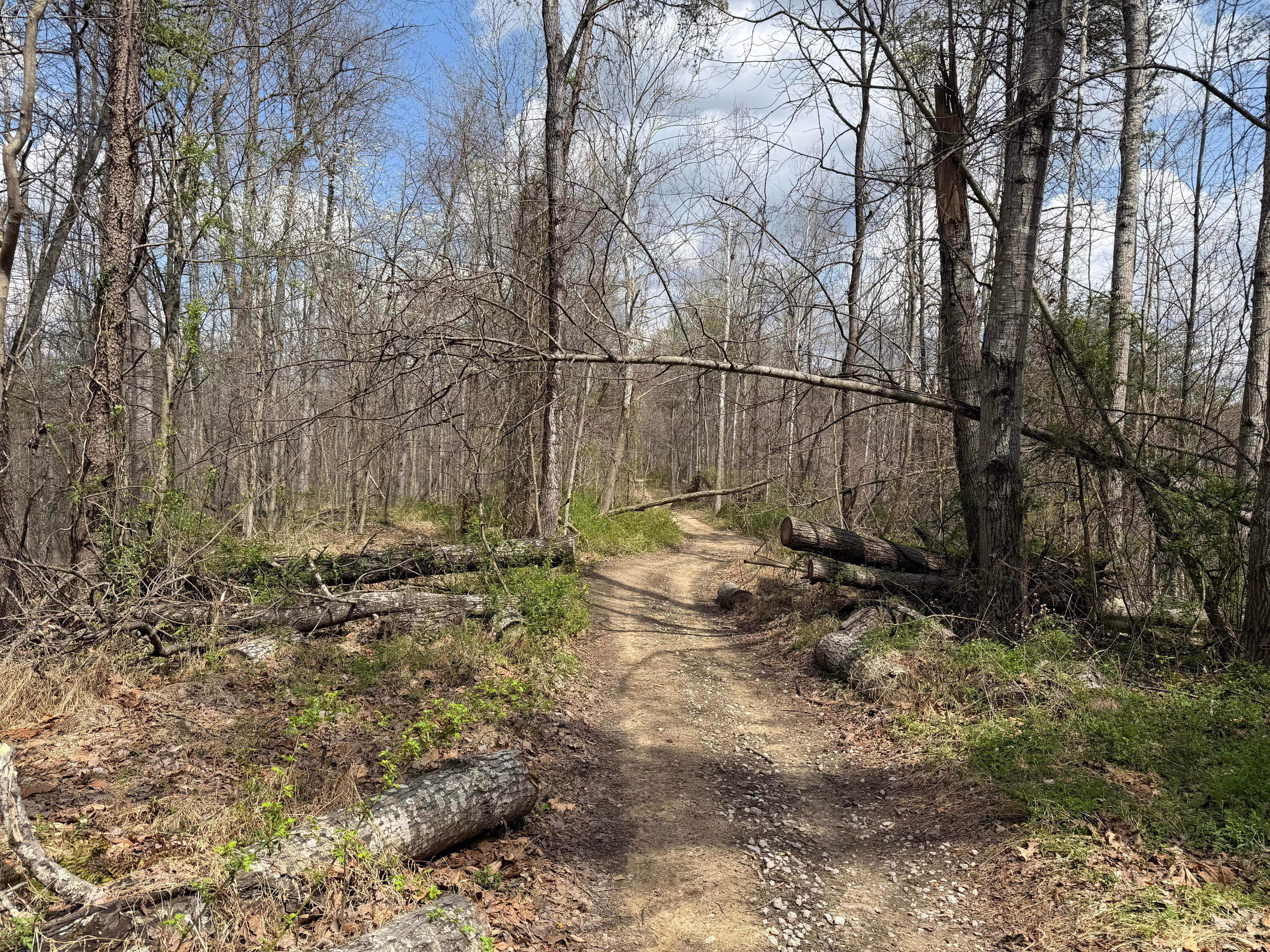 Superior Corridor Trail