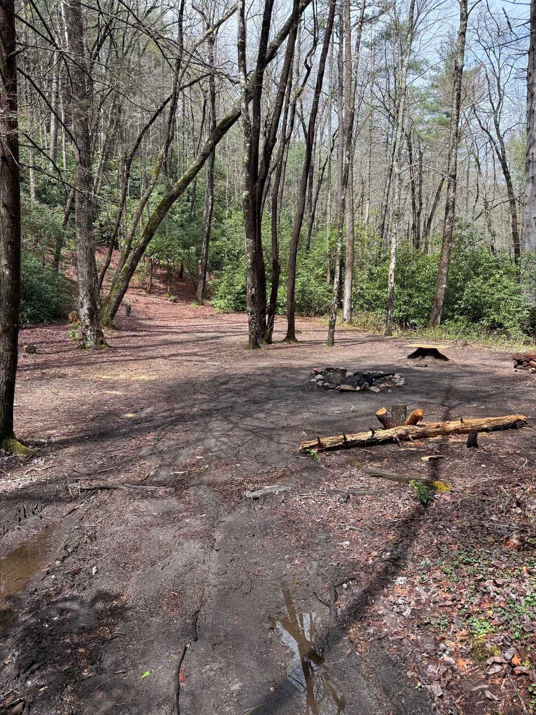 Holcomb Creek - FS 696