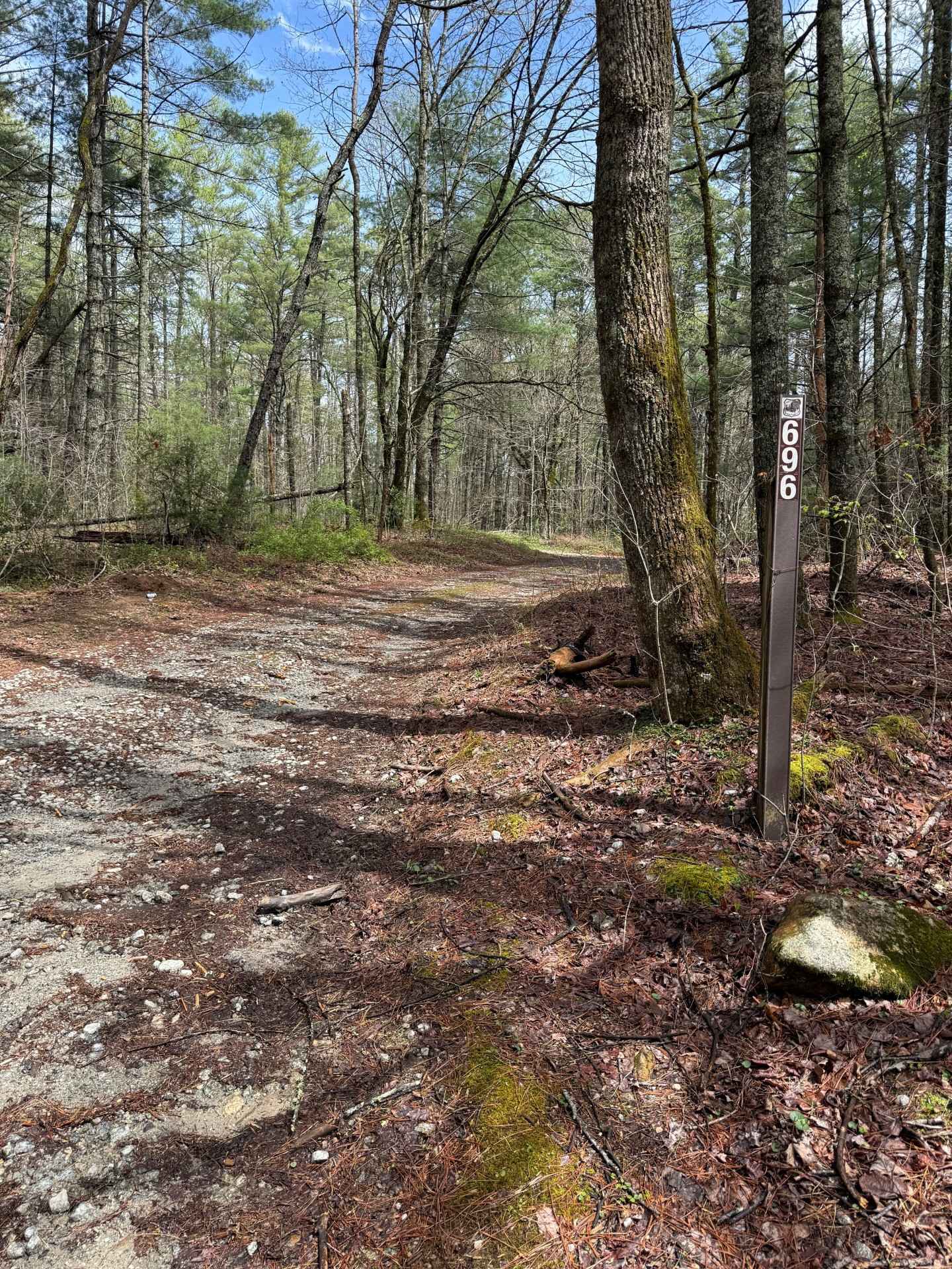 Holcomb Creek - FS 696