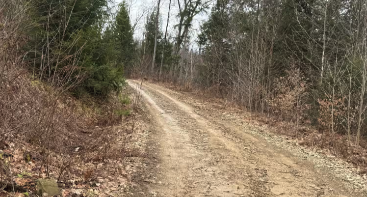 The Branch Spur A - FS 180A