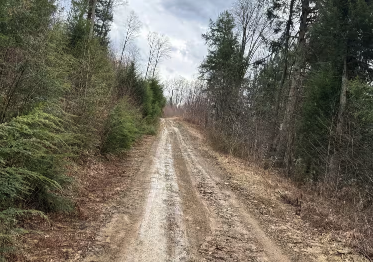 The Branch Spur A - FS 180A