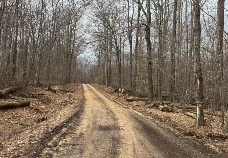 Hastings A - FS 218A