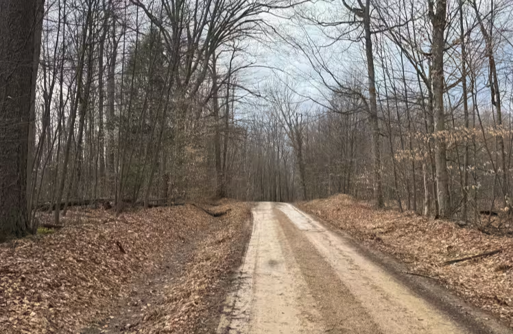 Hastings A - FS 218A