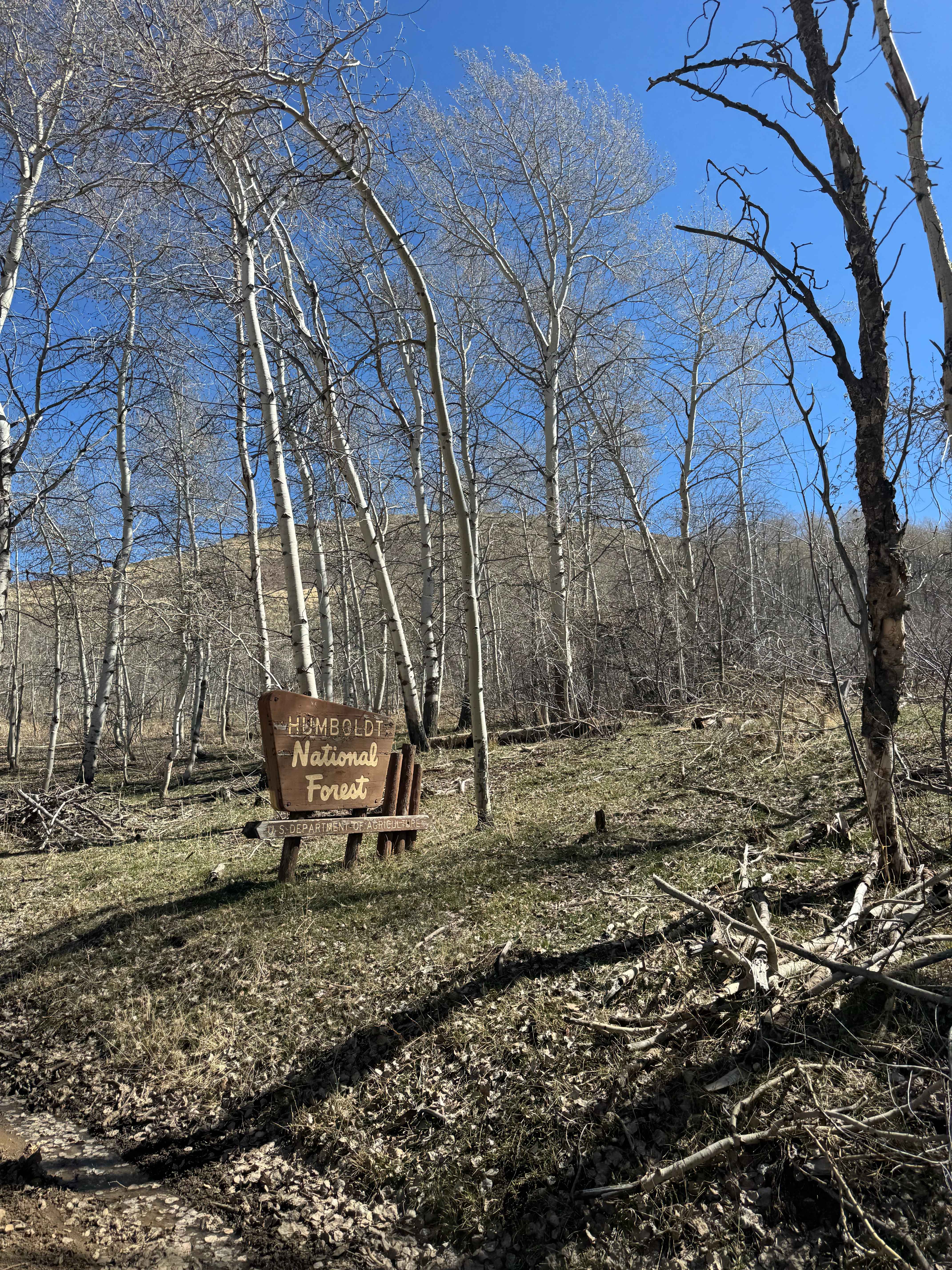 Trail Creek Road - FS 56729