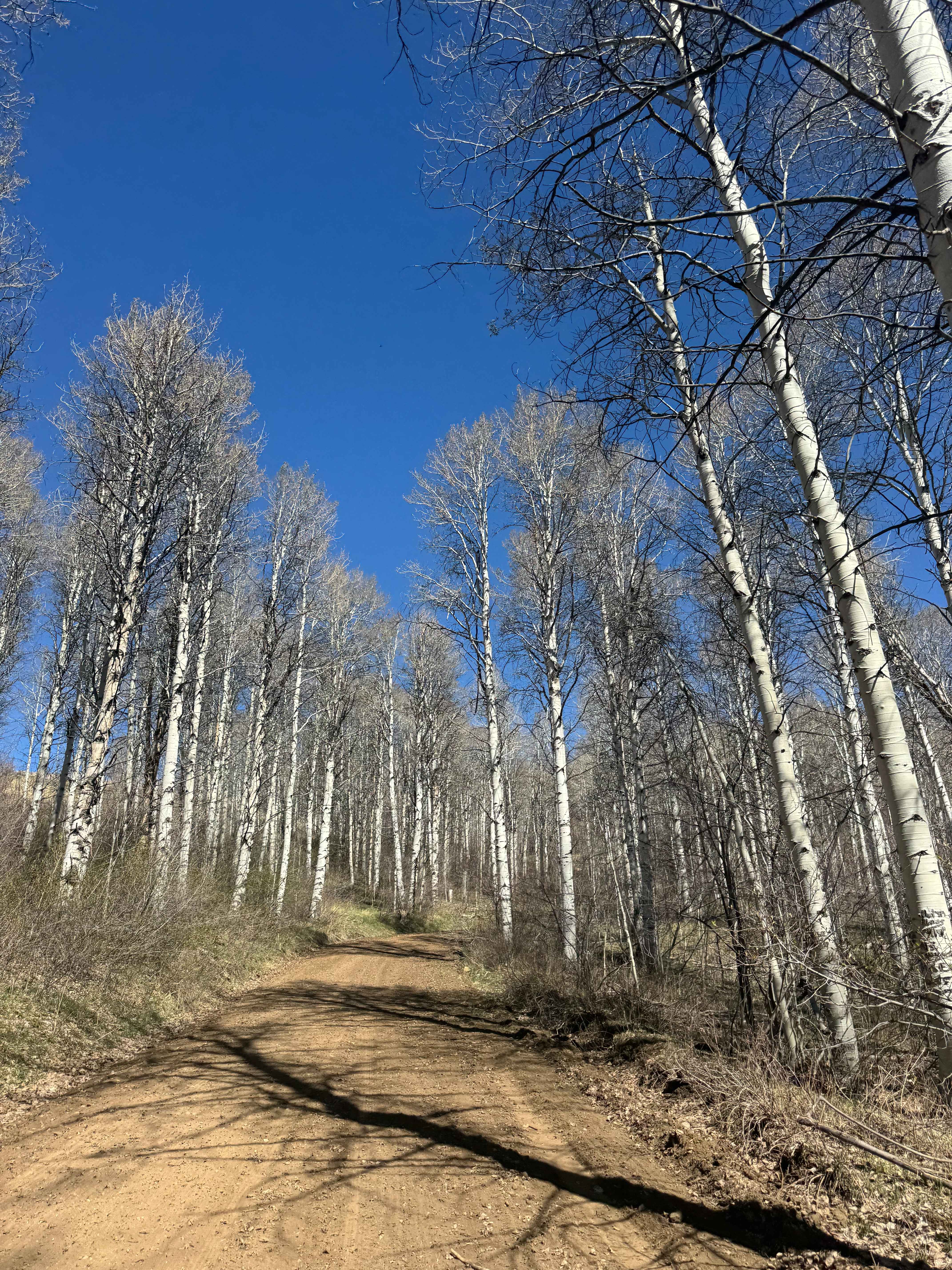 Trail Creek Road - FS 56729