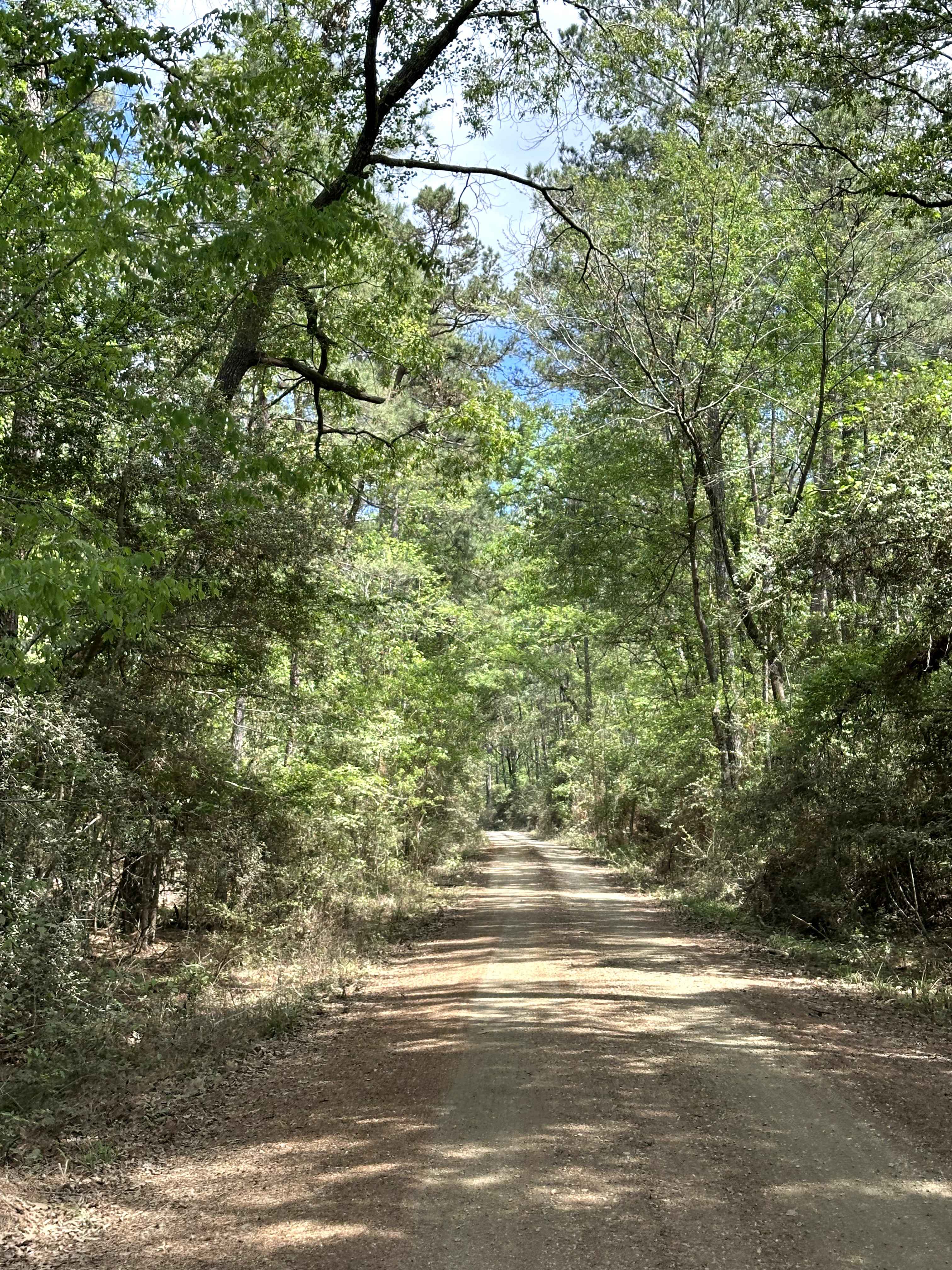 Chester Johnson - FS 553