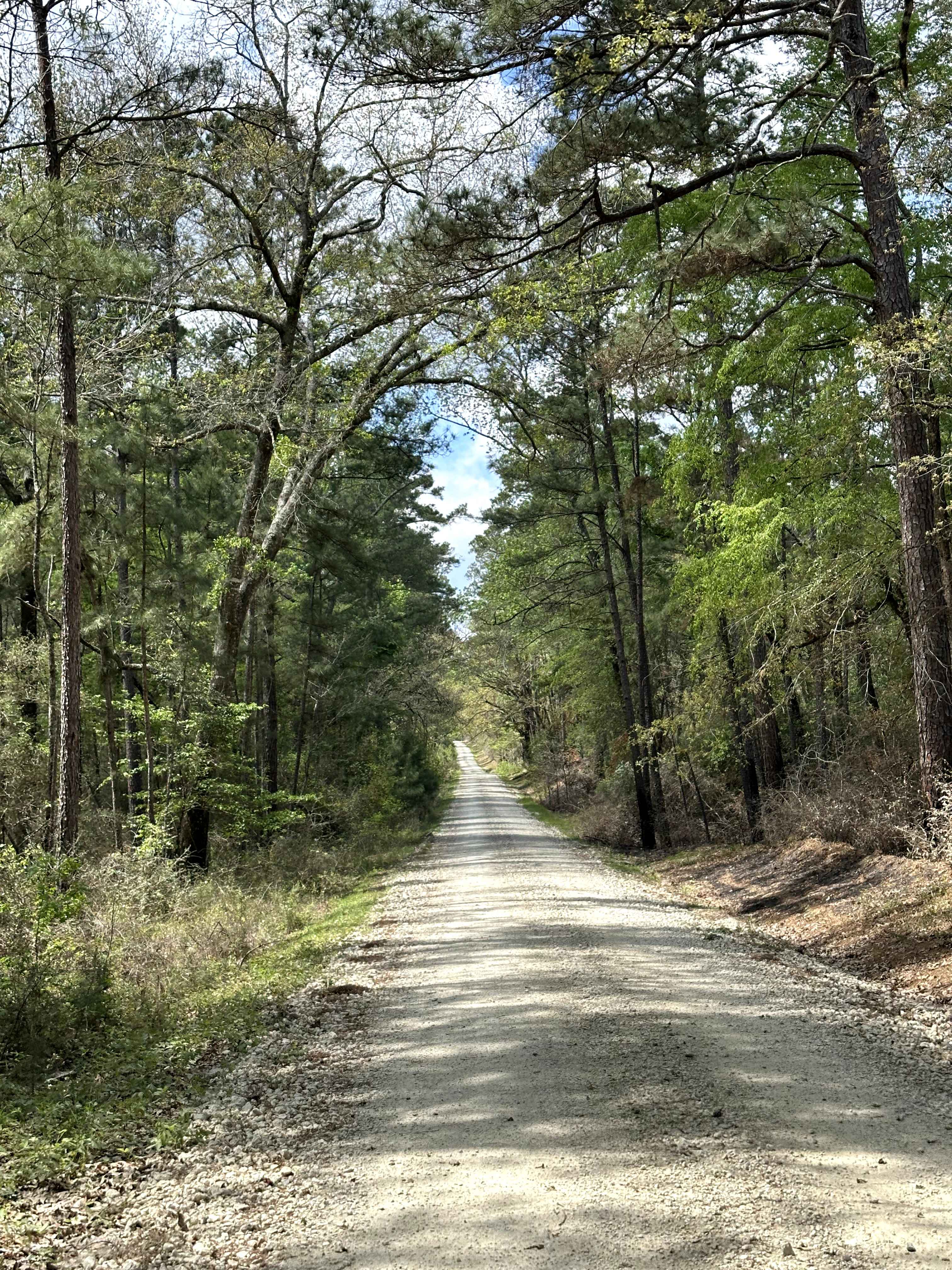 Broken Bridge - FS 501