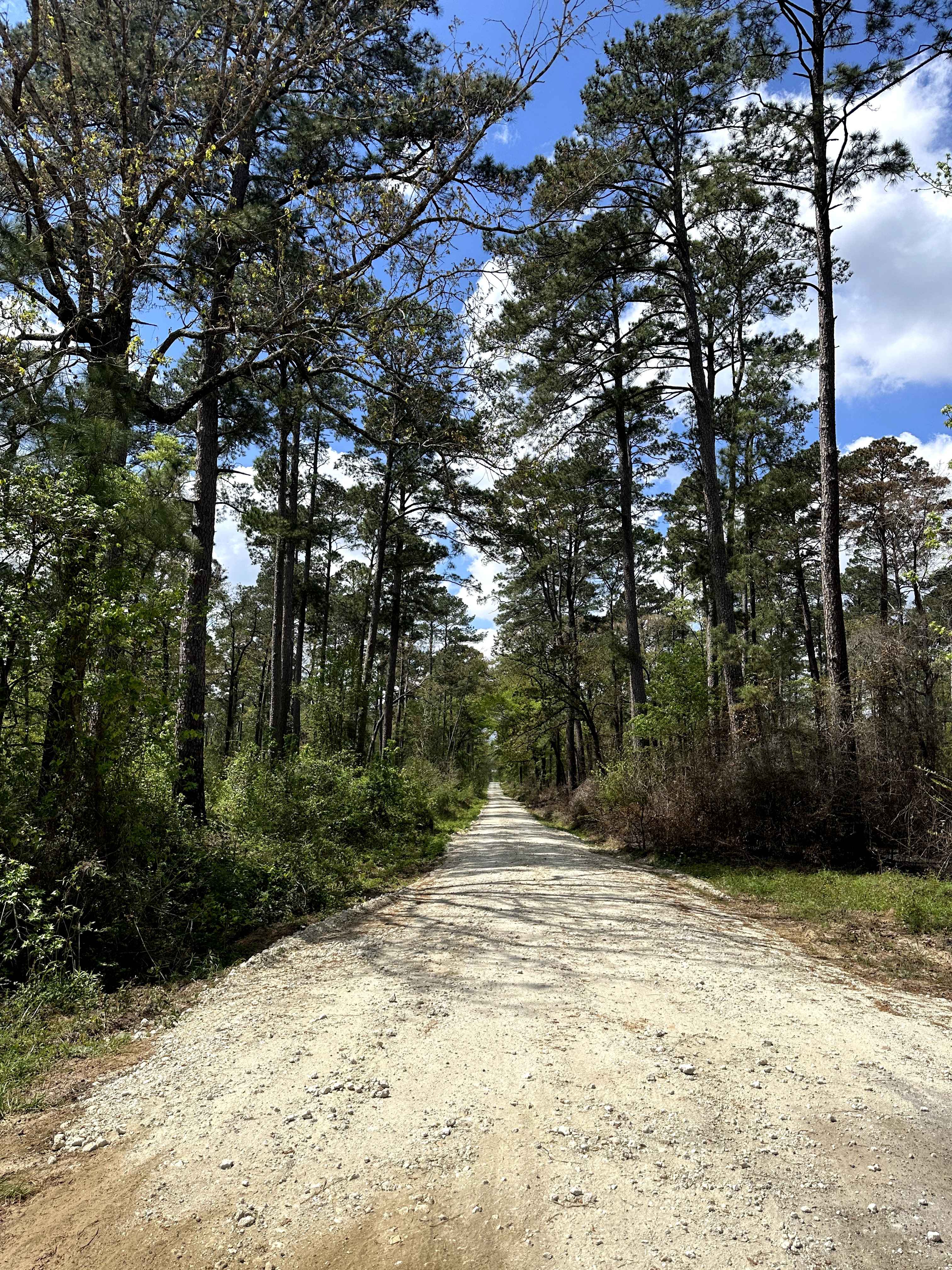 Broken Bridge - FS 501