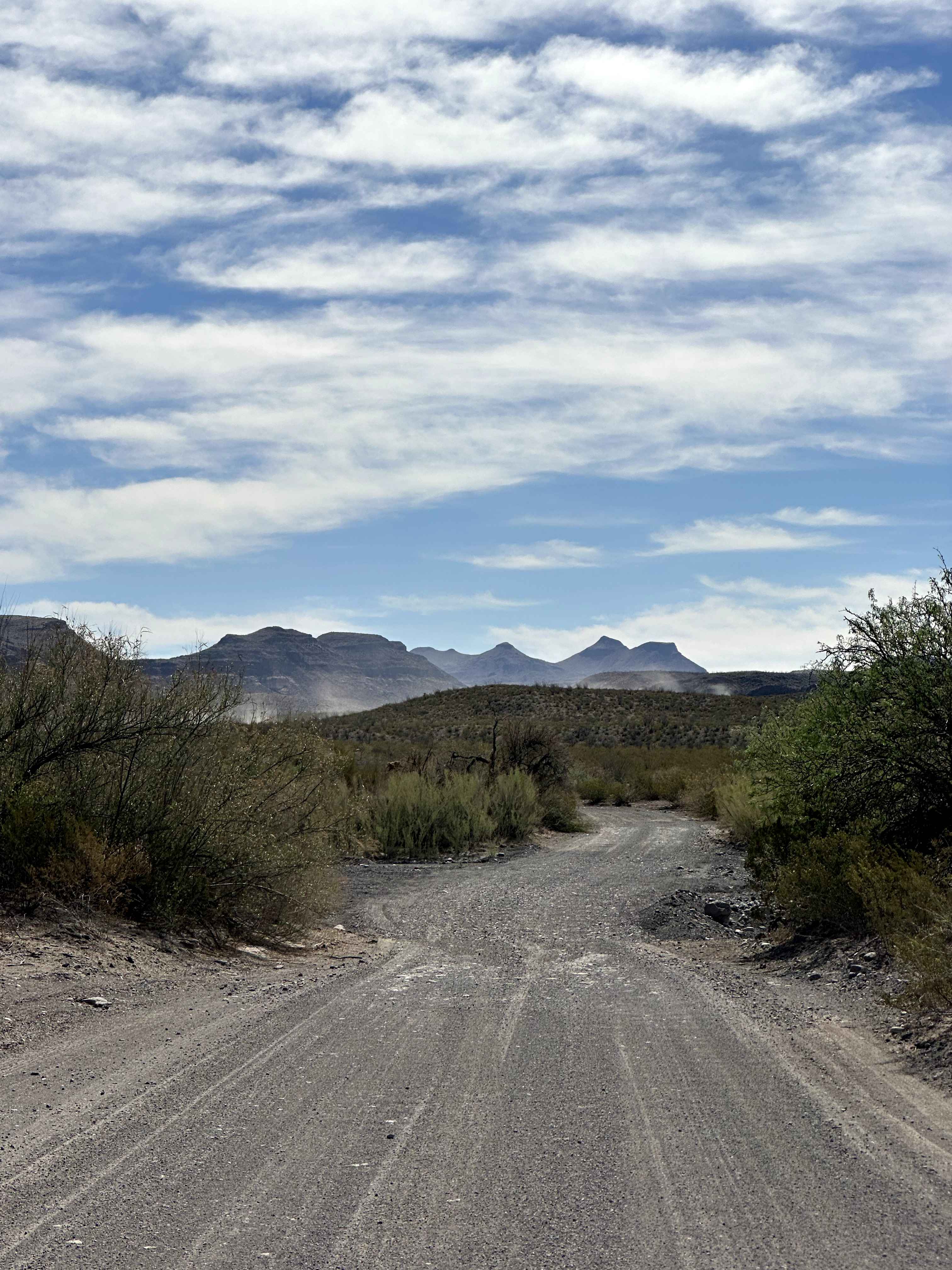 BBRSP Main Park Road West