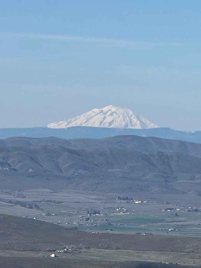 Green Gate Access - East Road