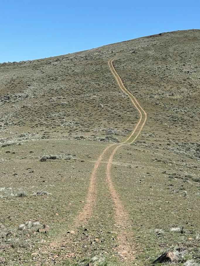 Green Gate Access - North Road