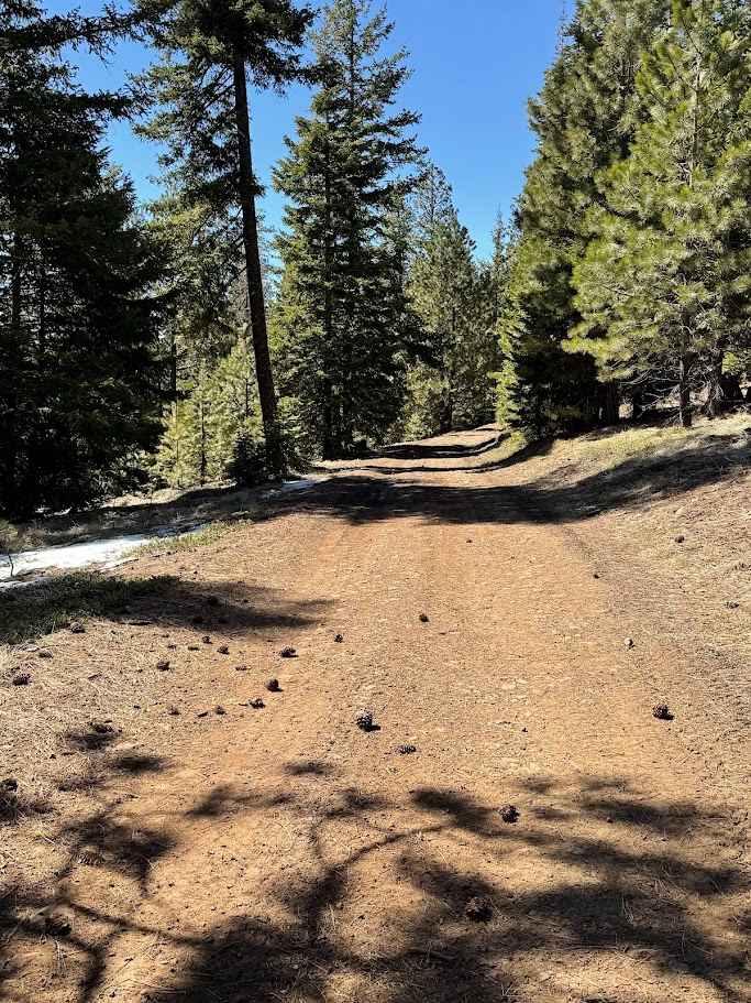 Dawson Road