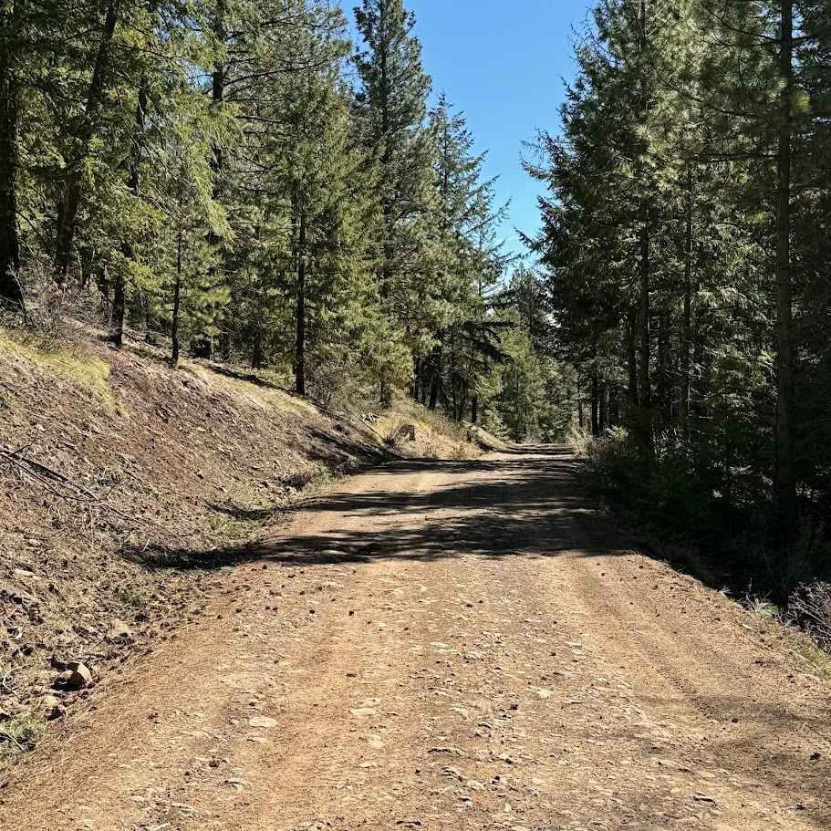 Dawson Canyon Road