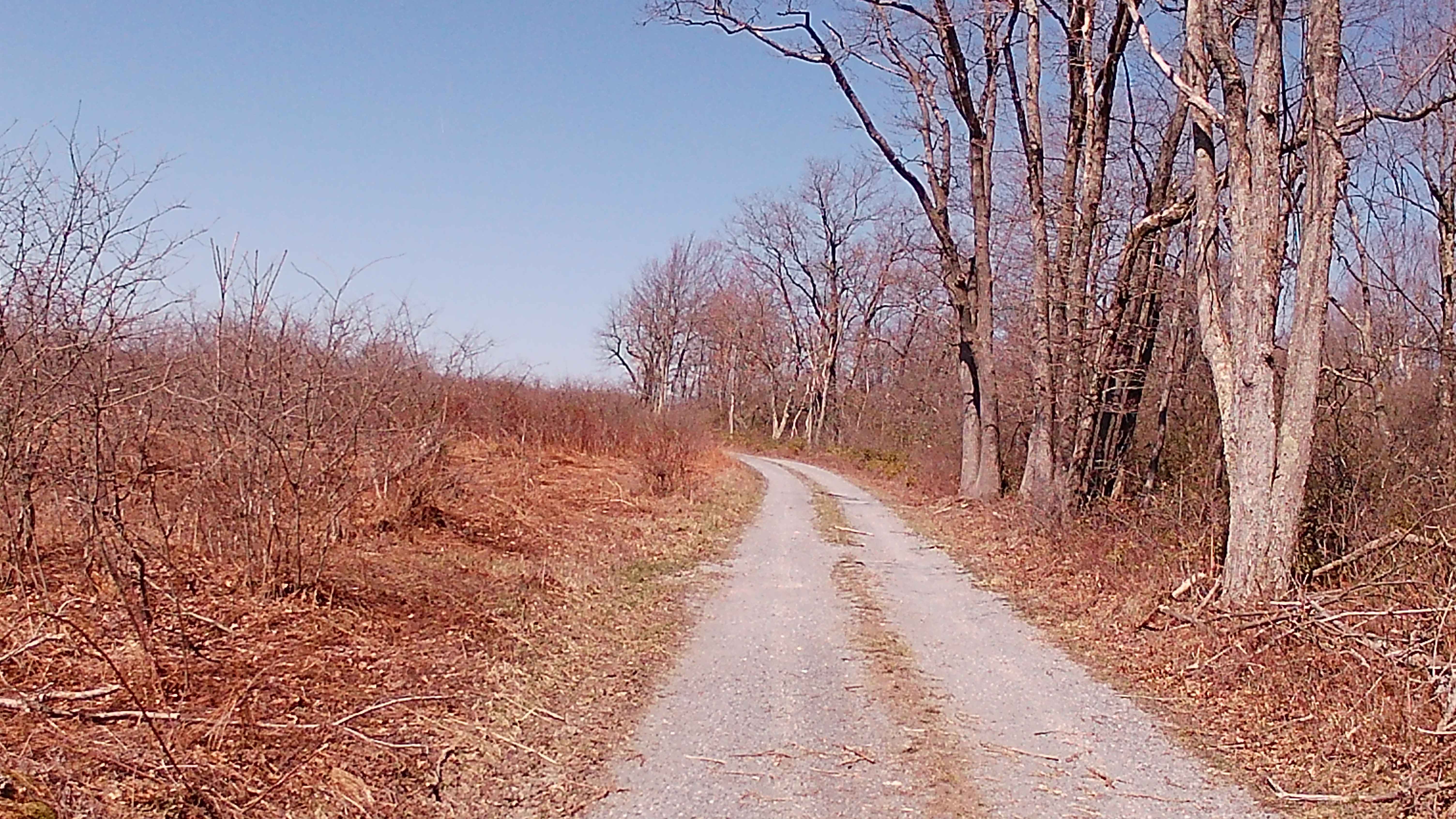Rock Run Lane