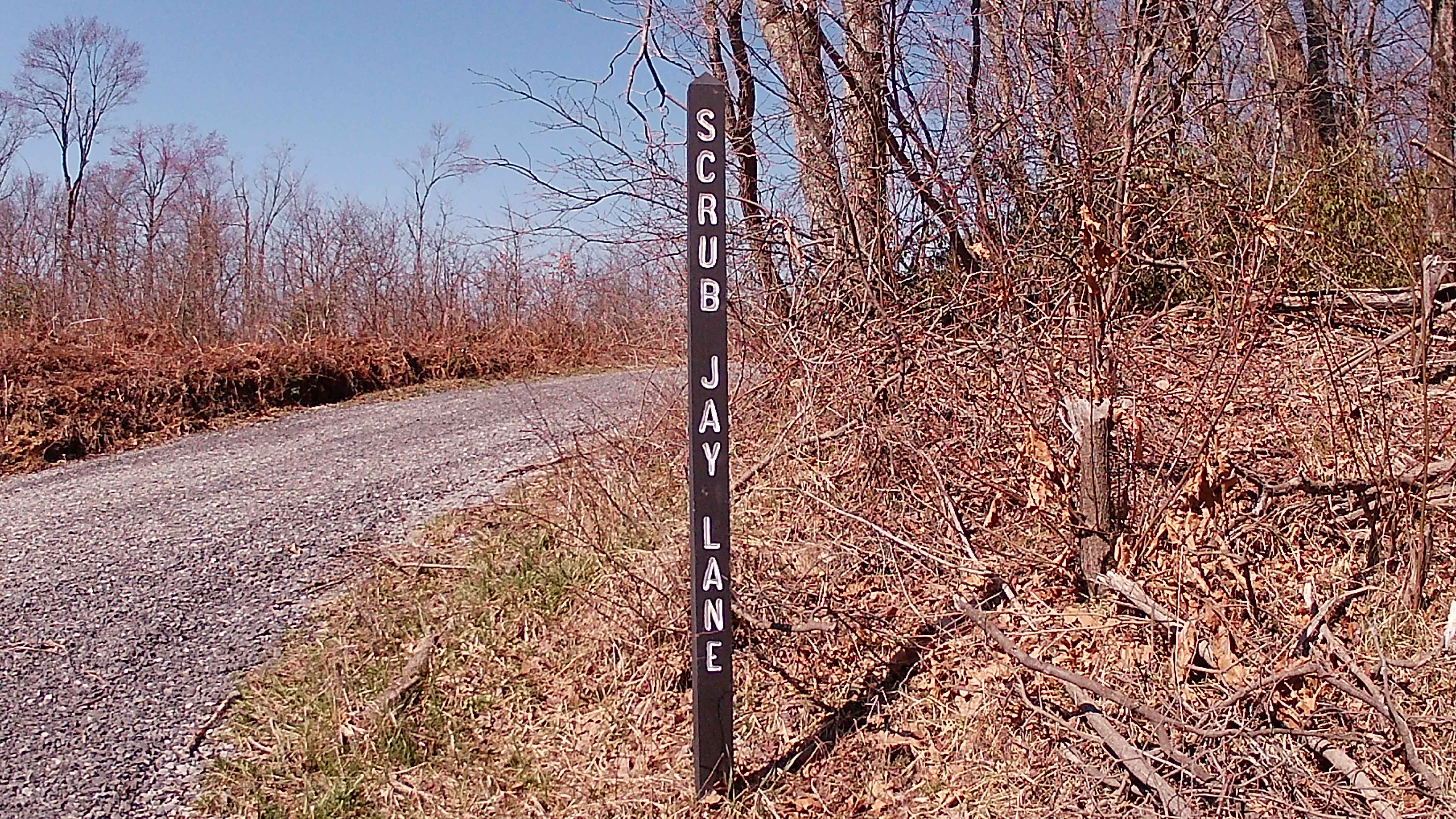 Rock Run Lane