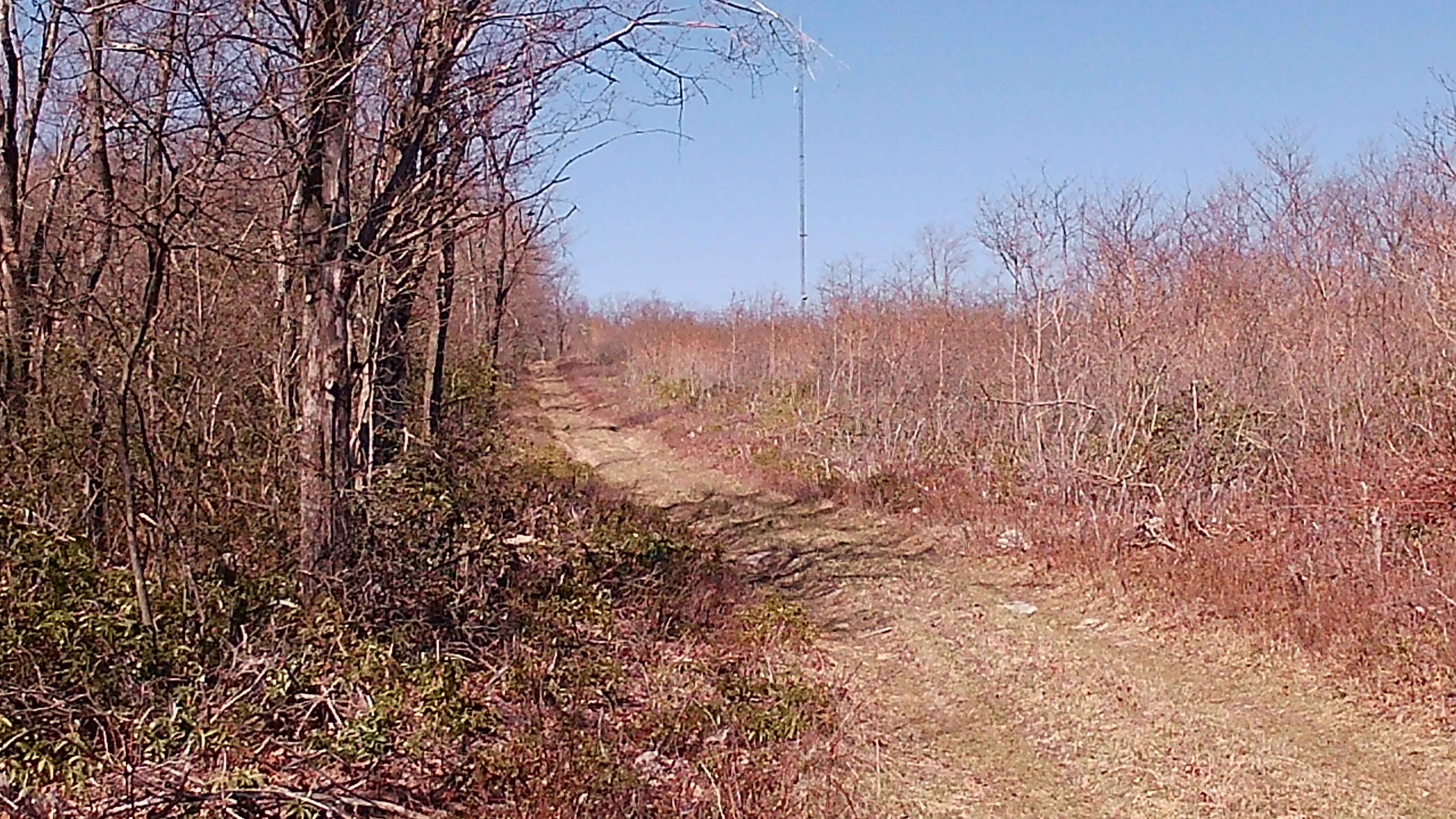 Governor's Trail