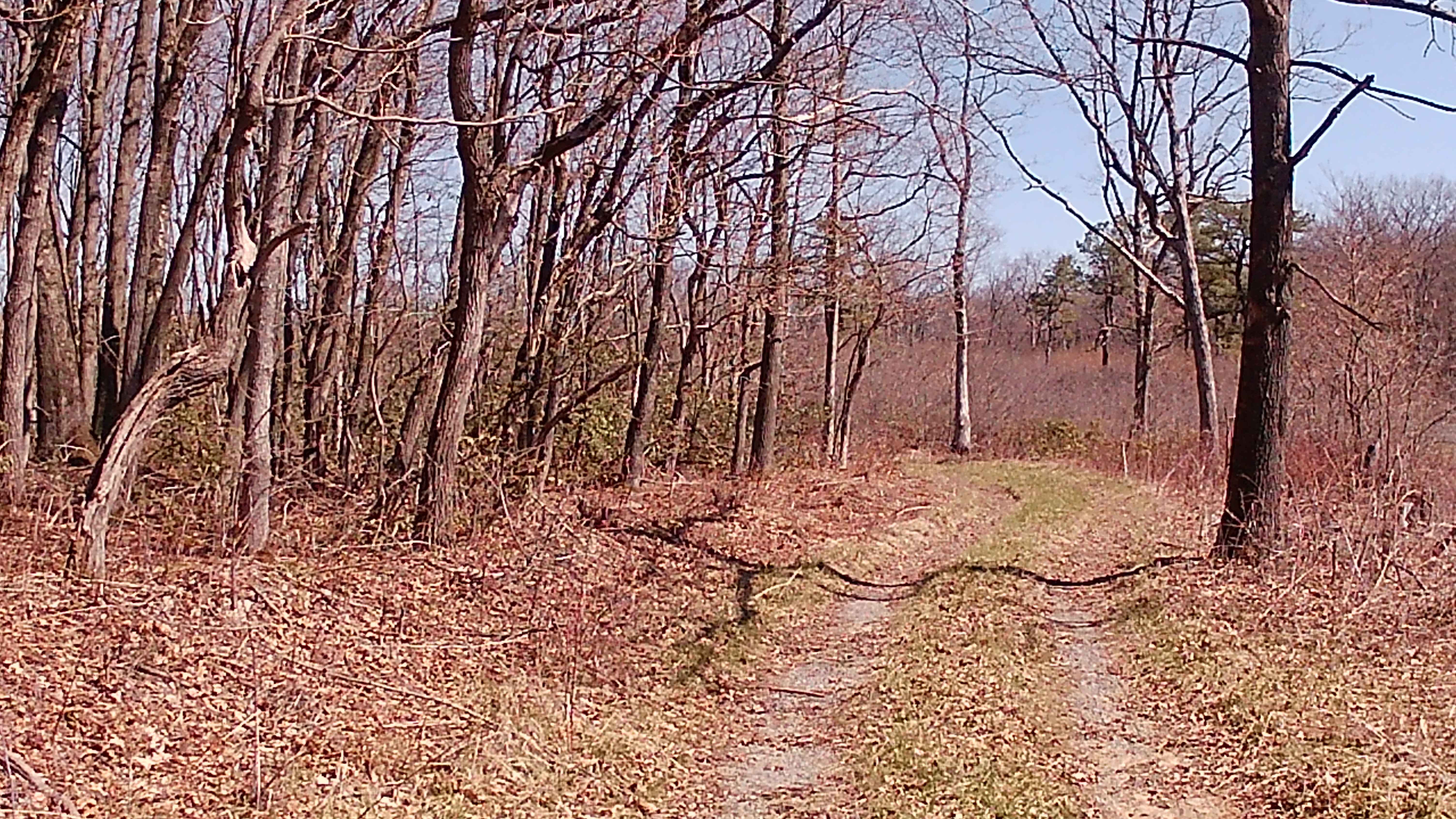 Governor's Trail